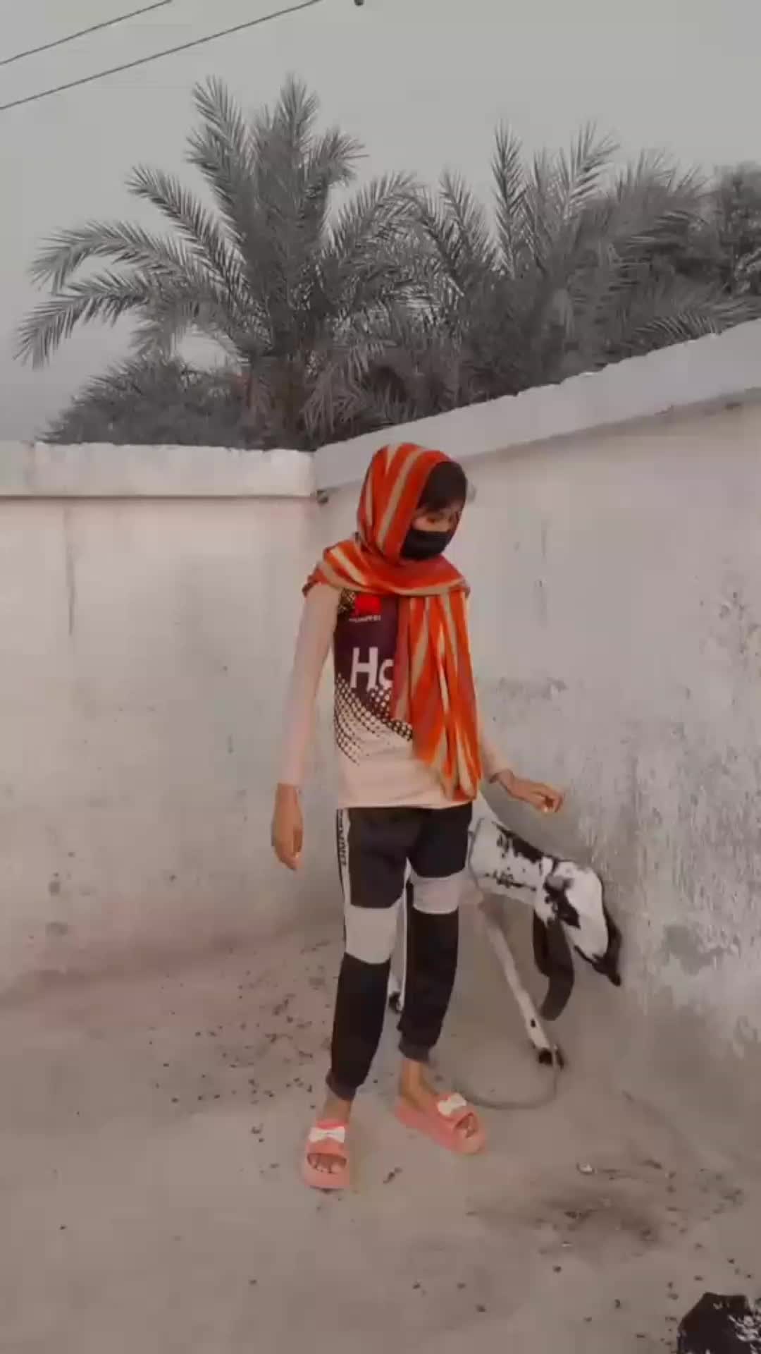@aimamalik