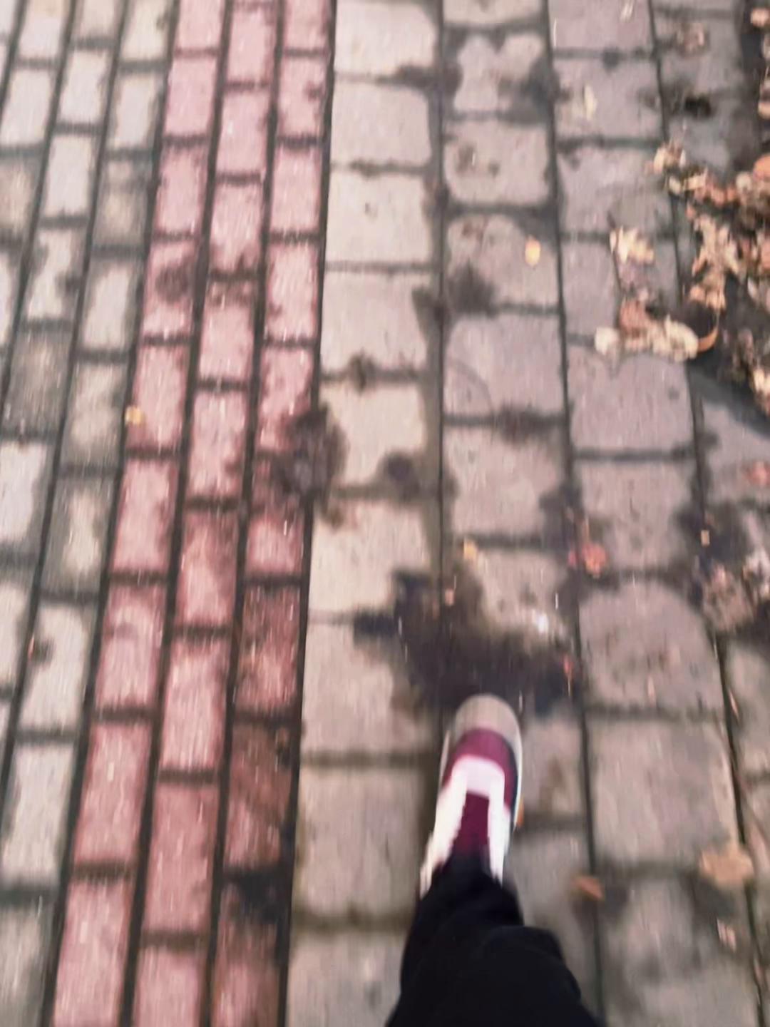 @t_morvis_b