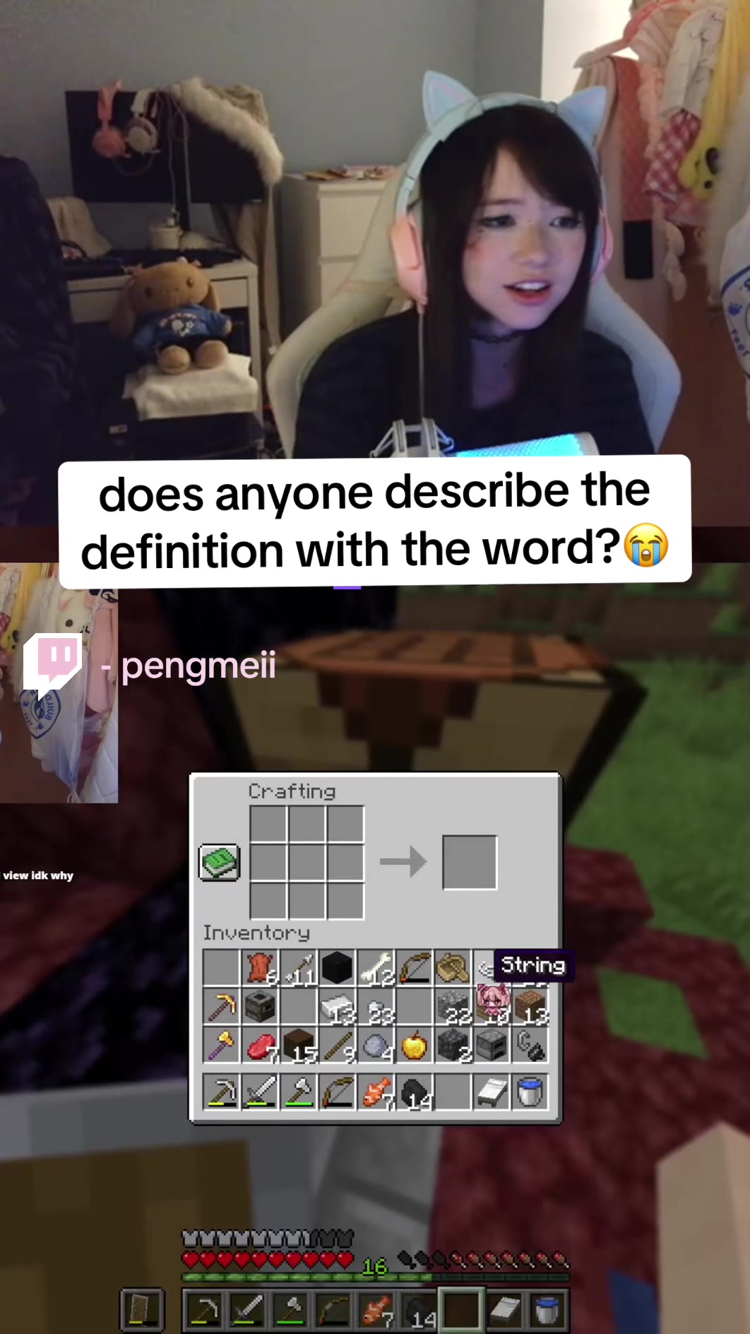 @pengmeii┃twitch