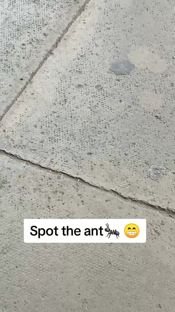 @Mindsett77