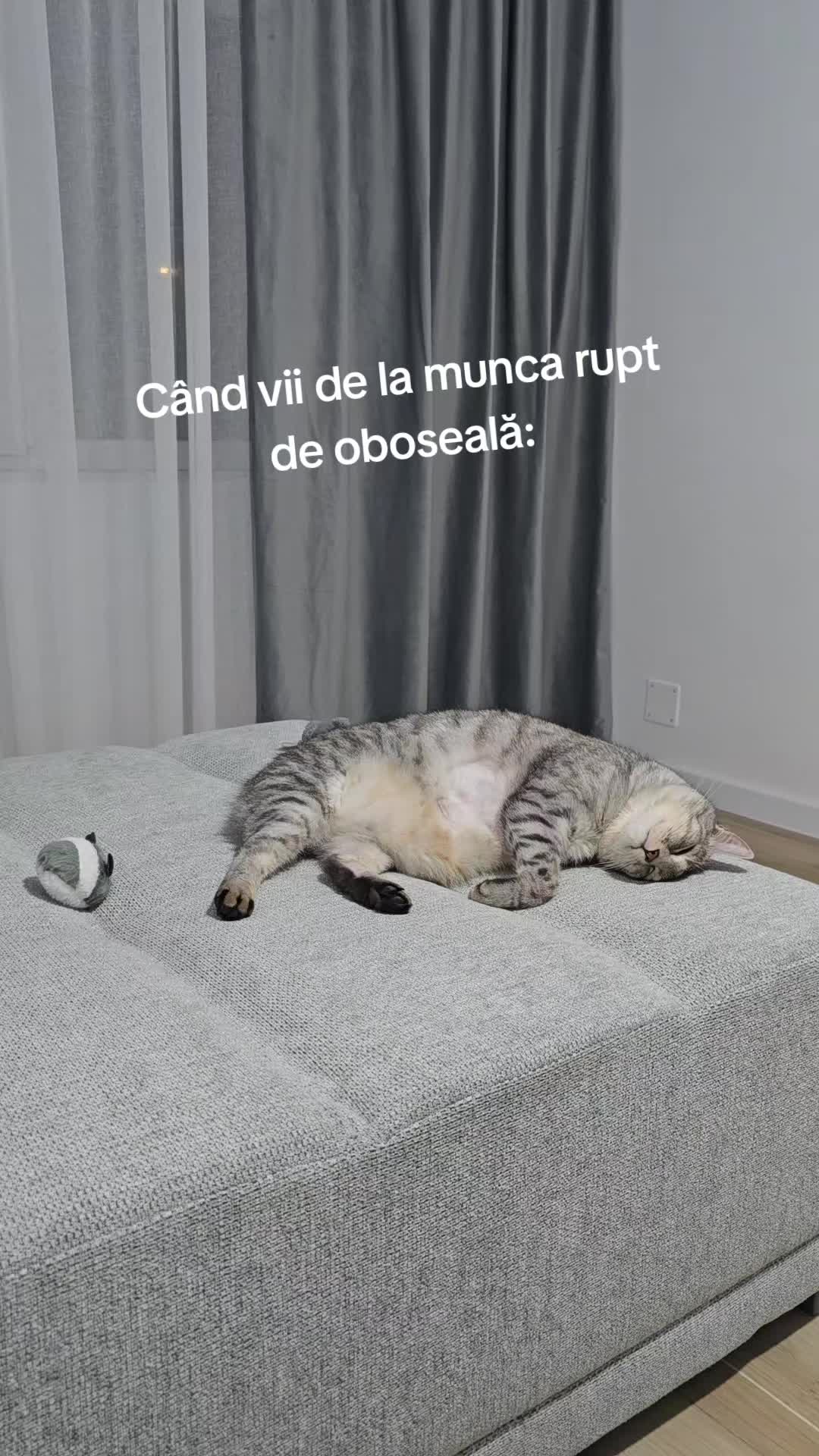 @Cristina