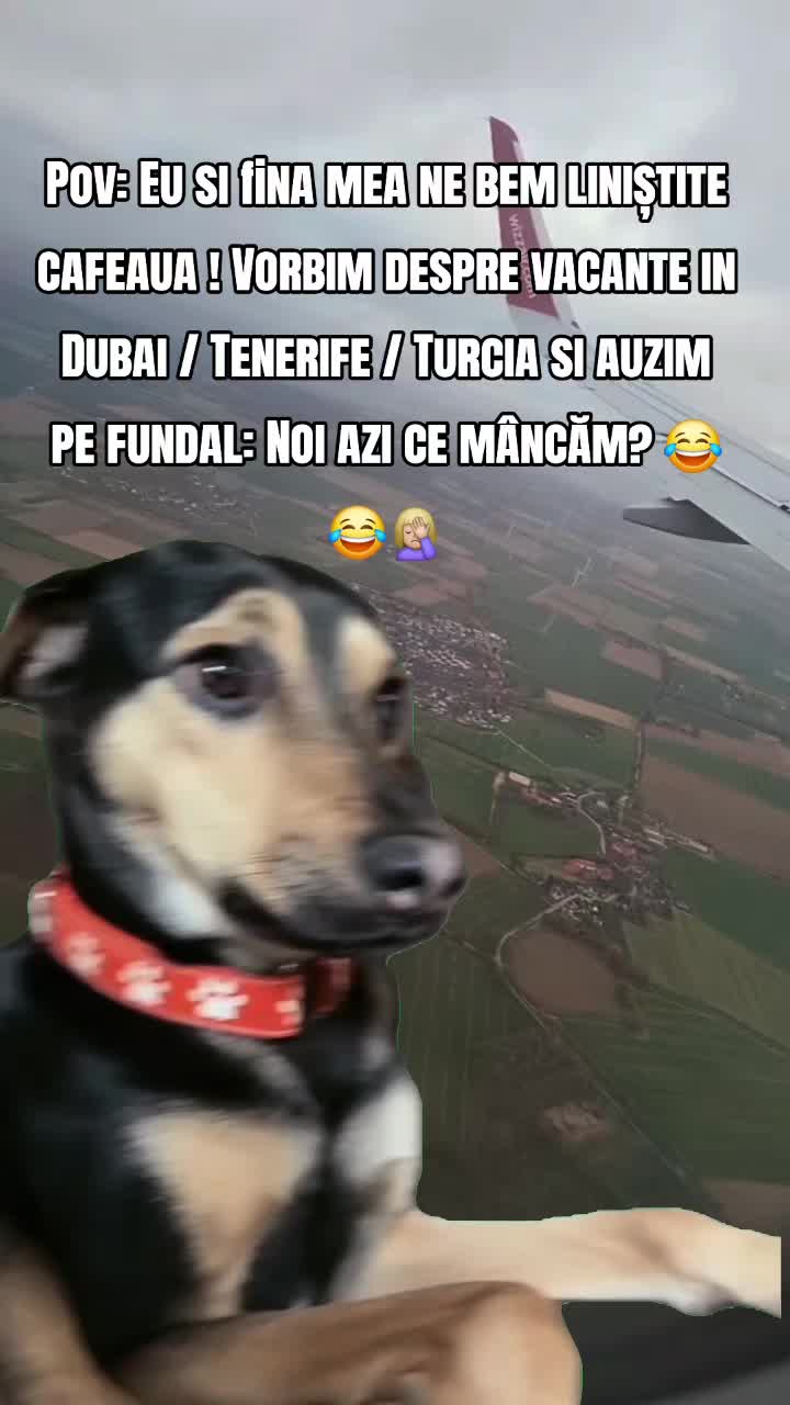@Rasinarrenataiulia