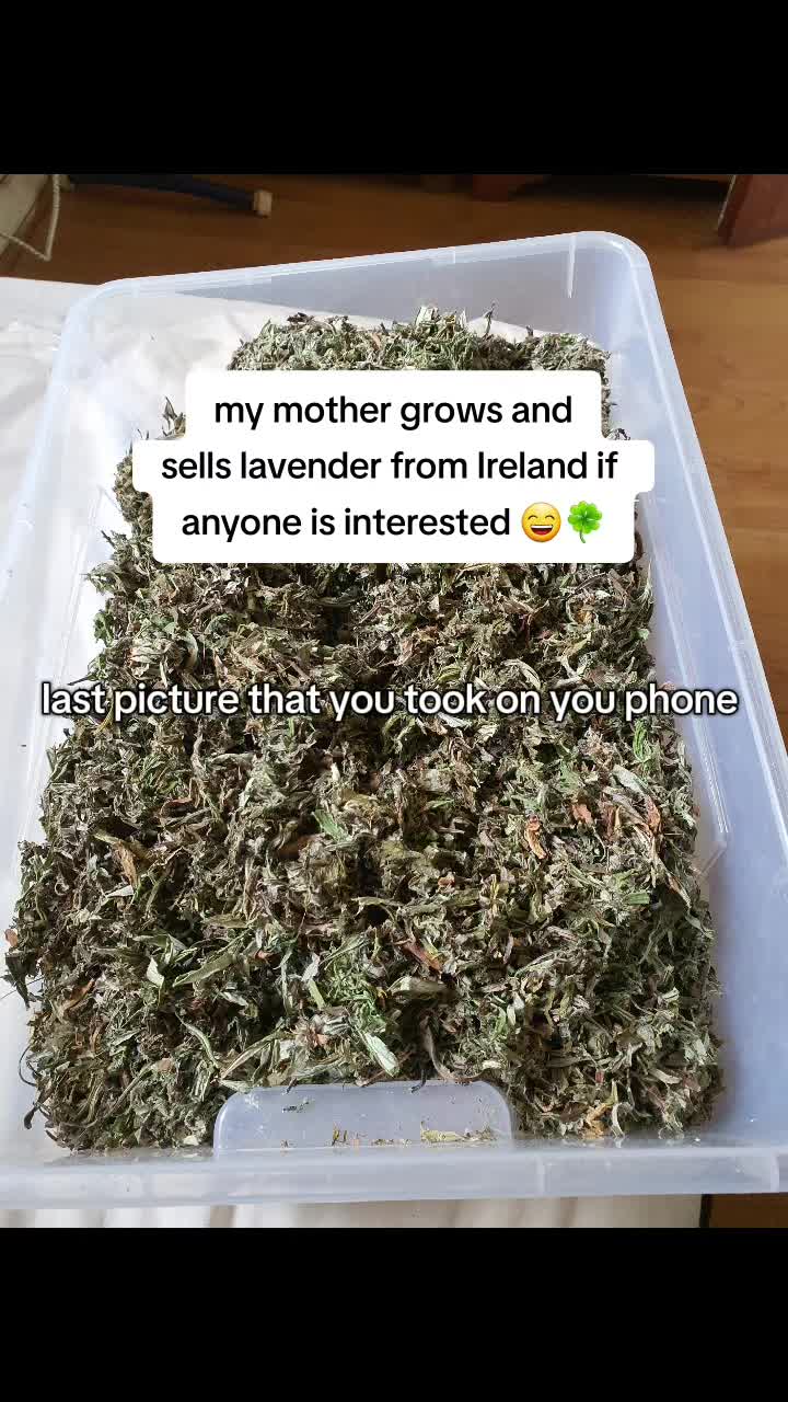 @Keanu Media 🇮🇪☘️