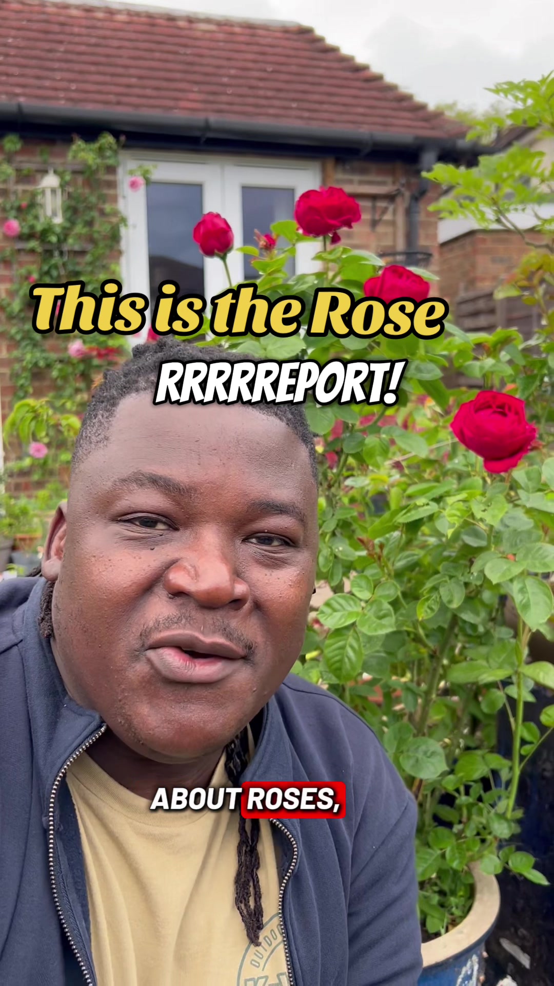 @Izwe