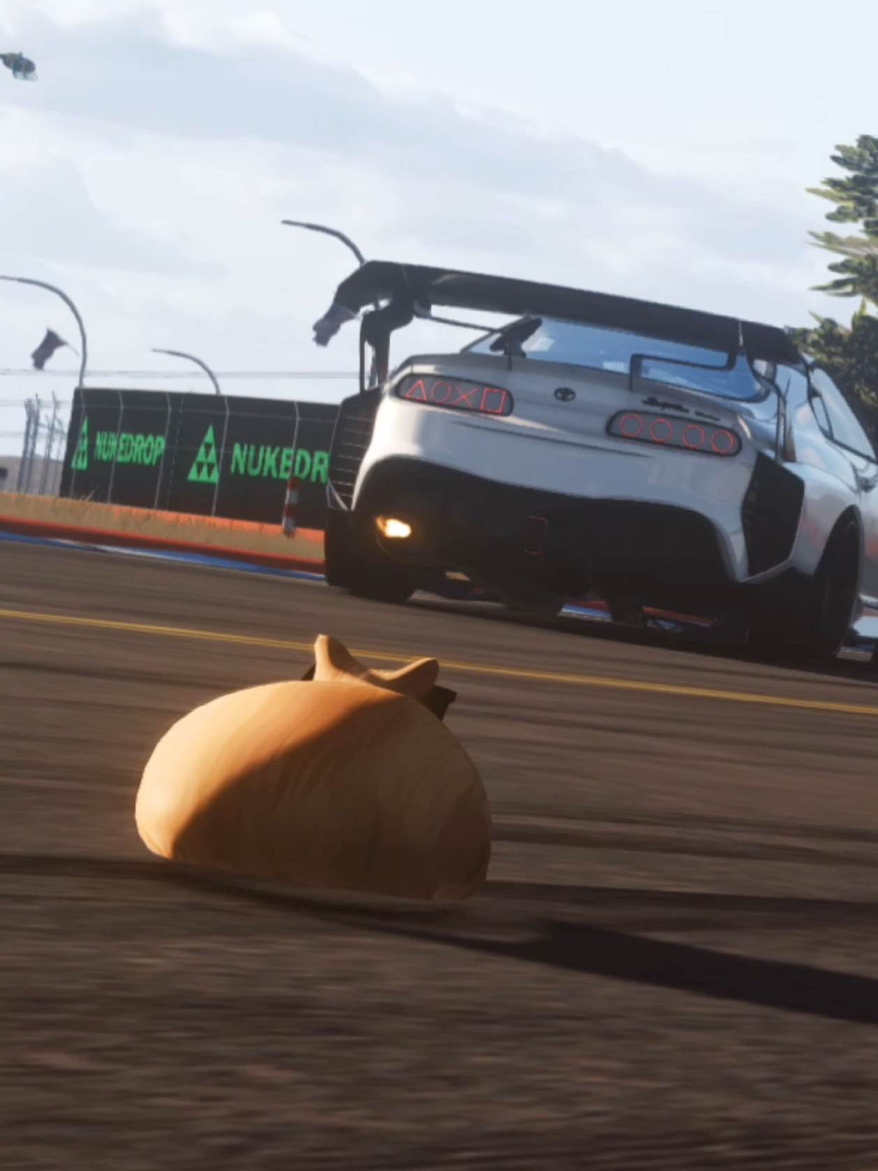 @Pablo the Race Cat