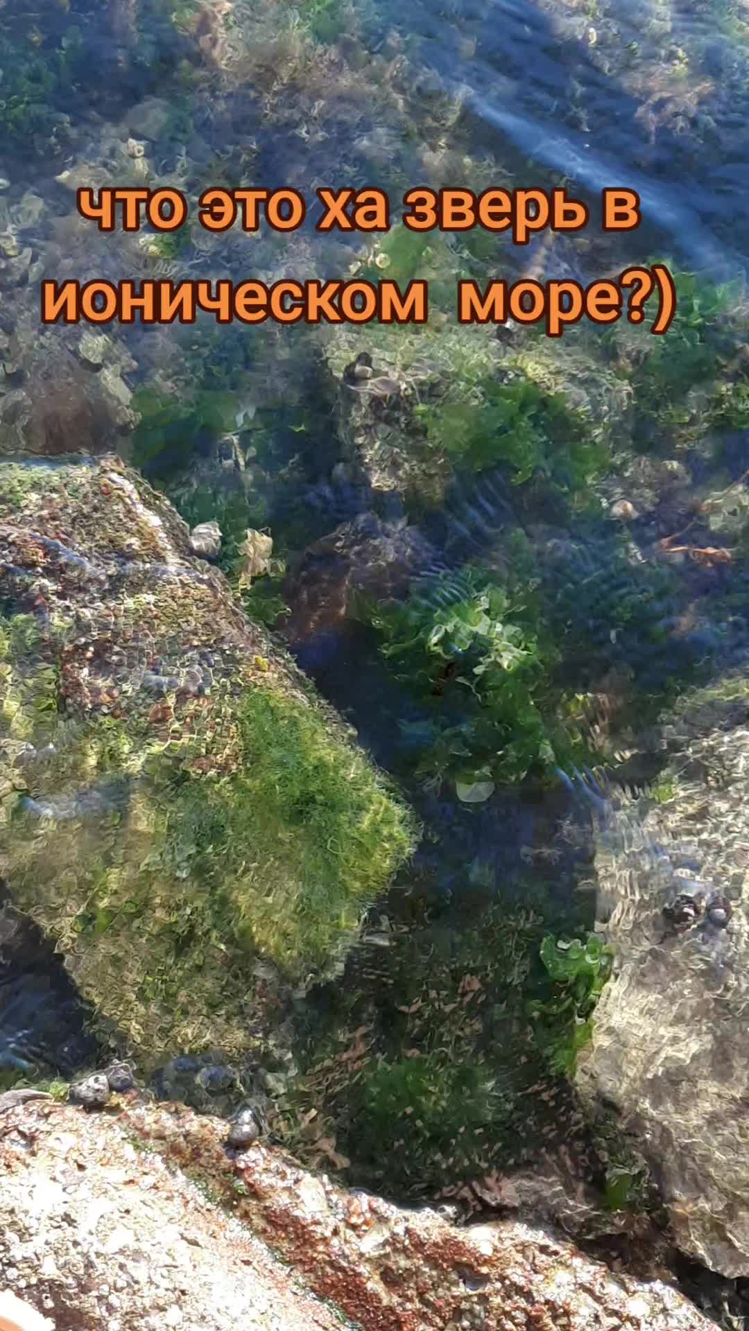 @🇬🇷🐳НАТАЛИ🔥🇷🇺
