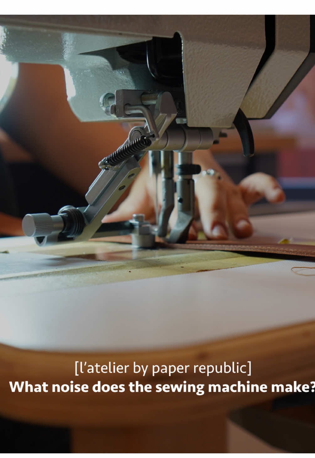 @paper republic