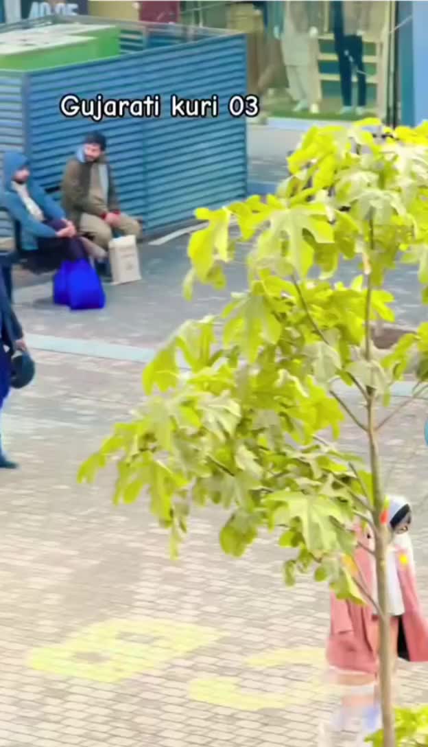 @Gujarati kuri 03