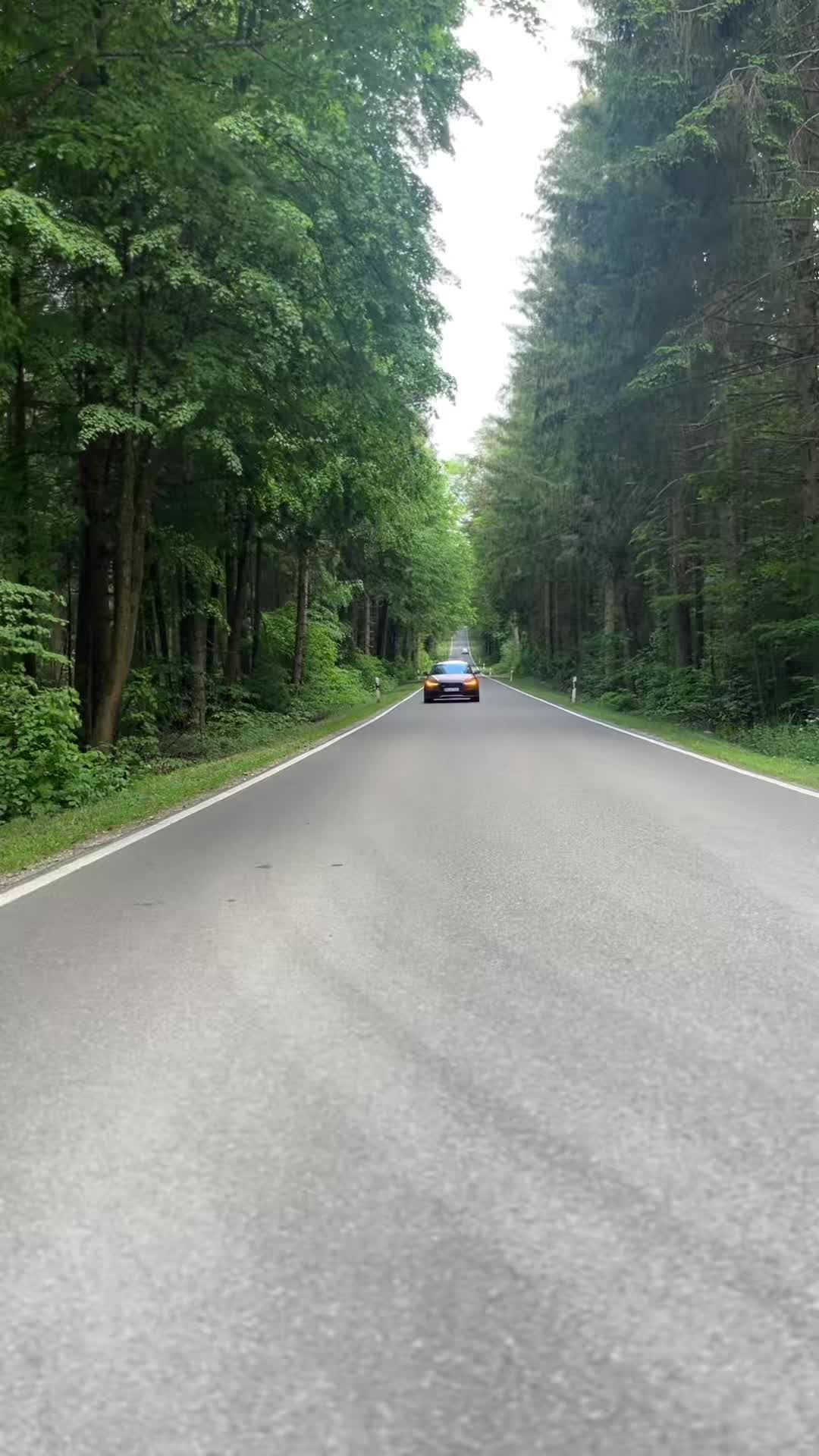 @GREEN_RS6