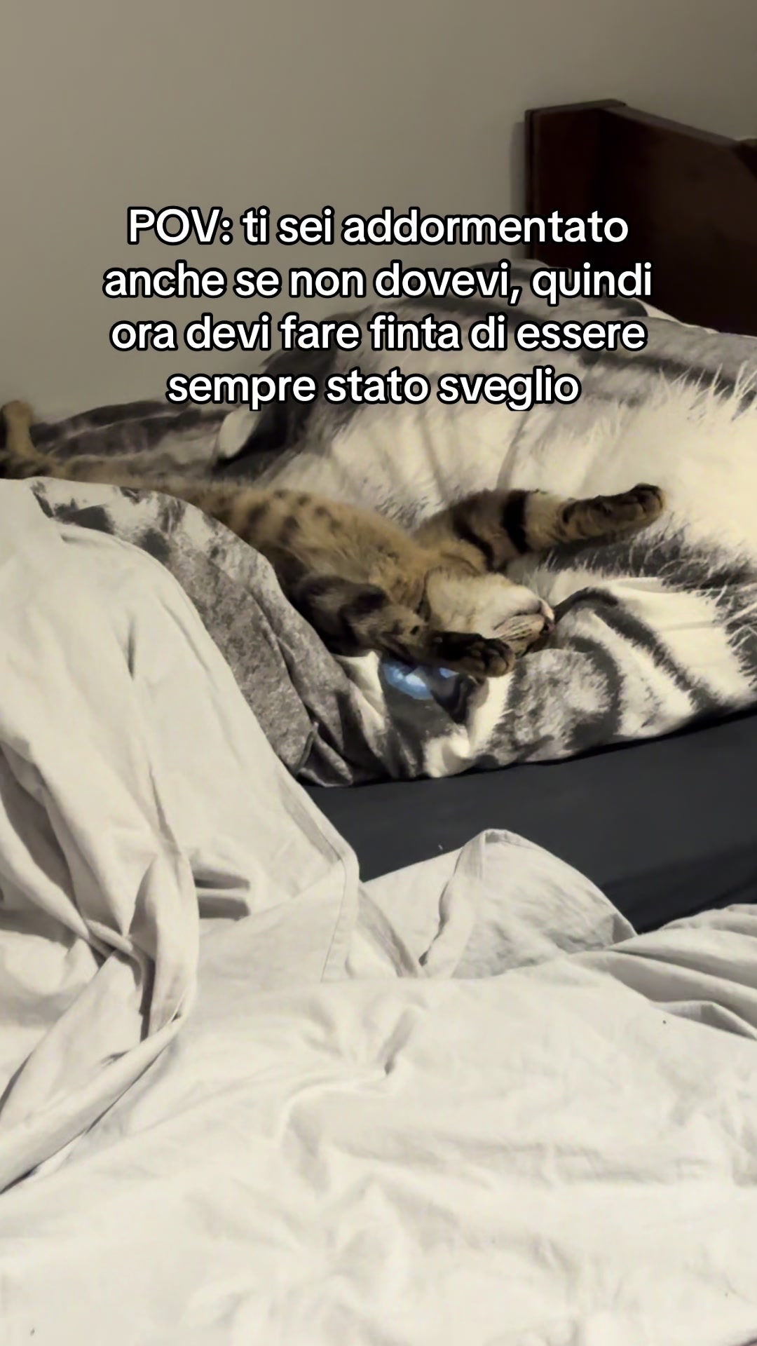 @franky_loda