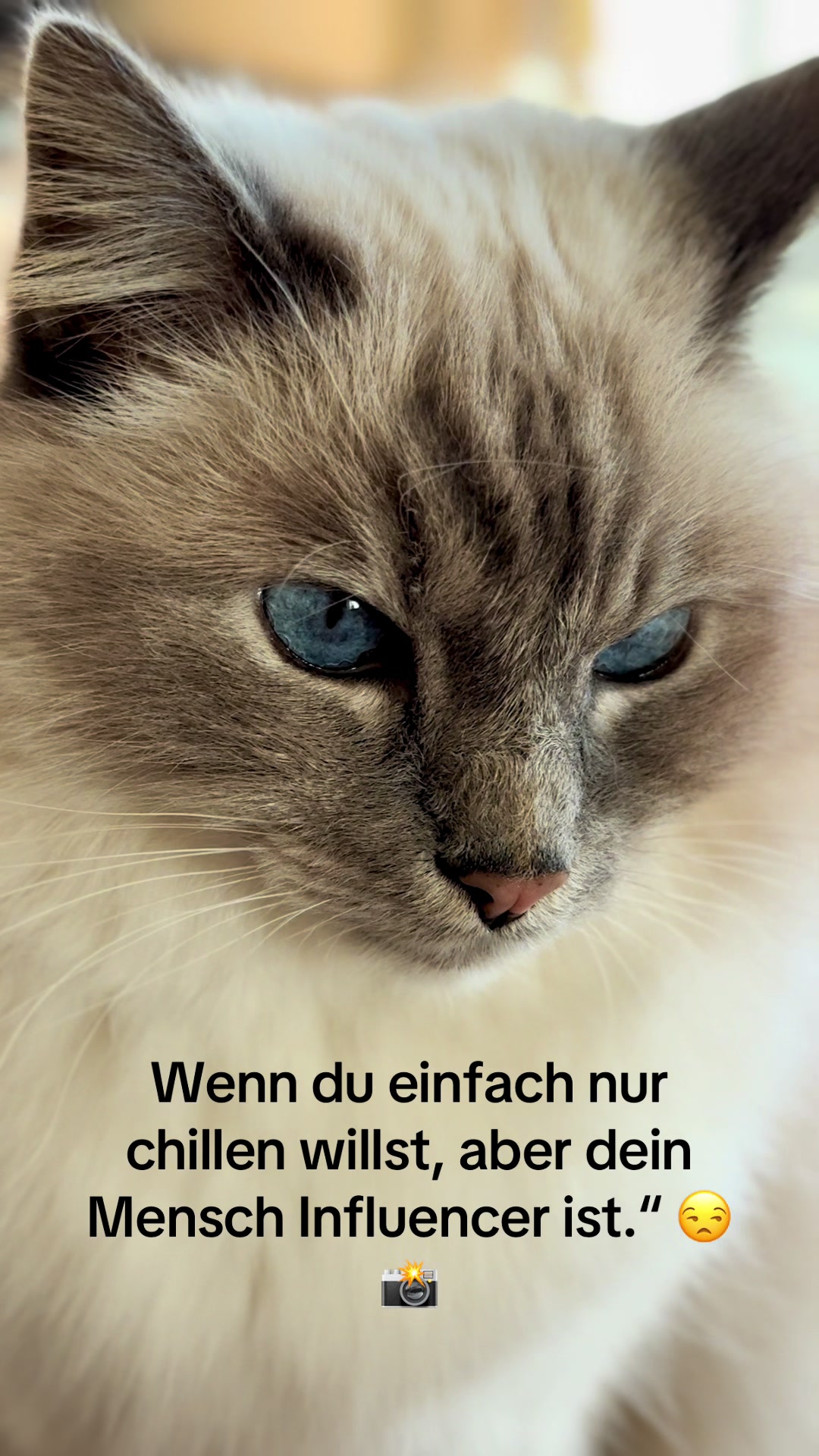 @Jutta Thelen