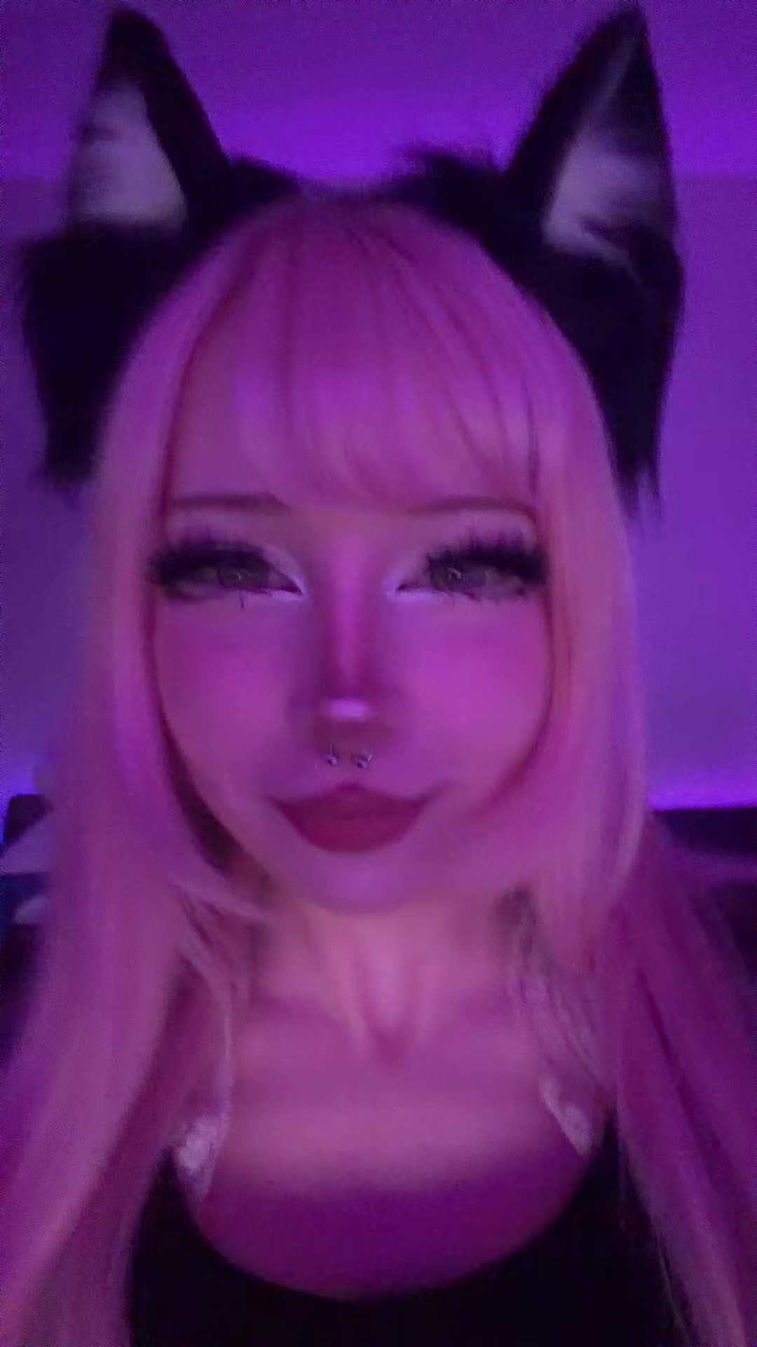 @pikkujanica