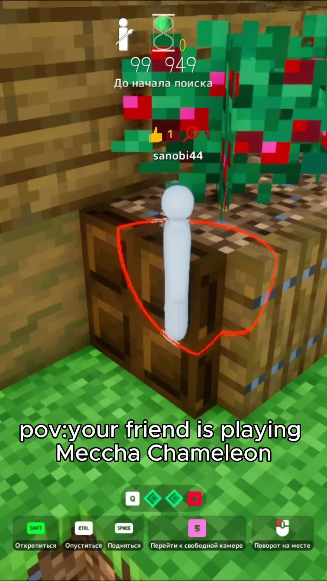 @yourcamelo