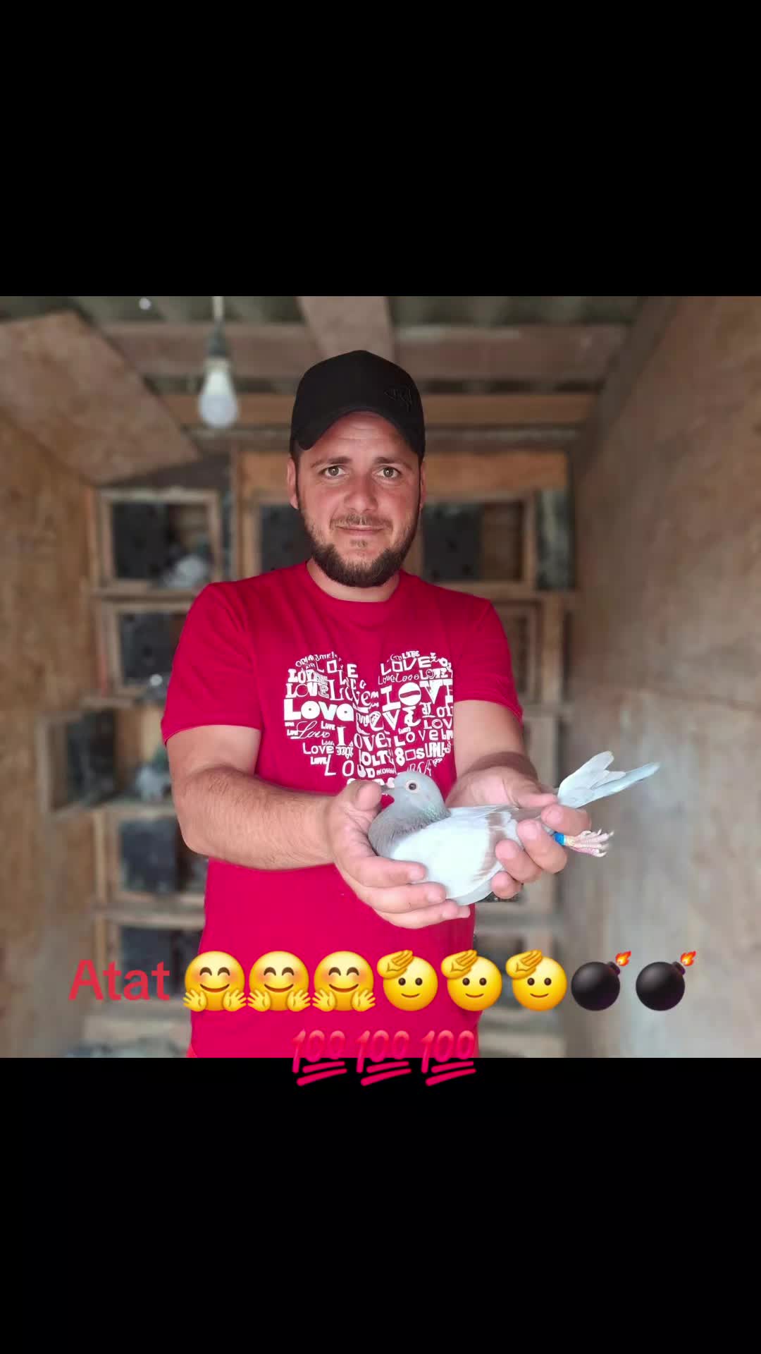 @Andrei Mira