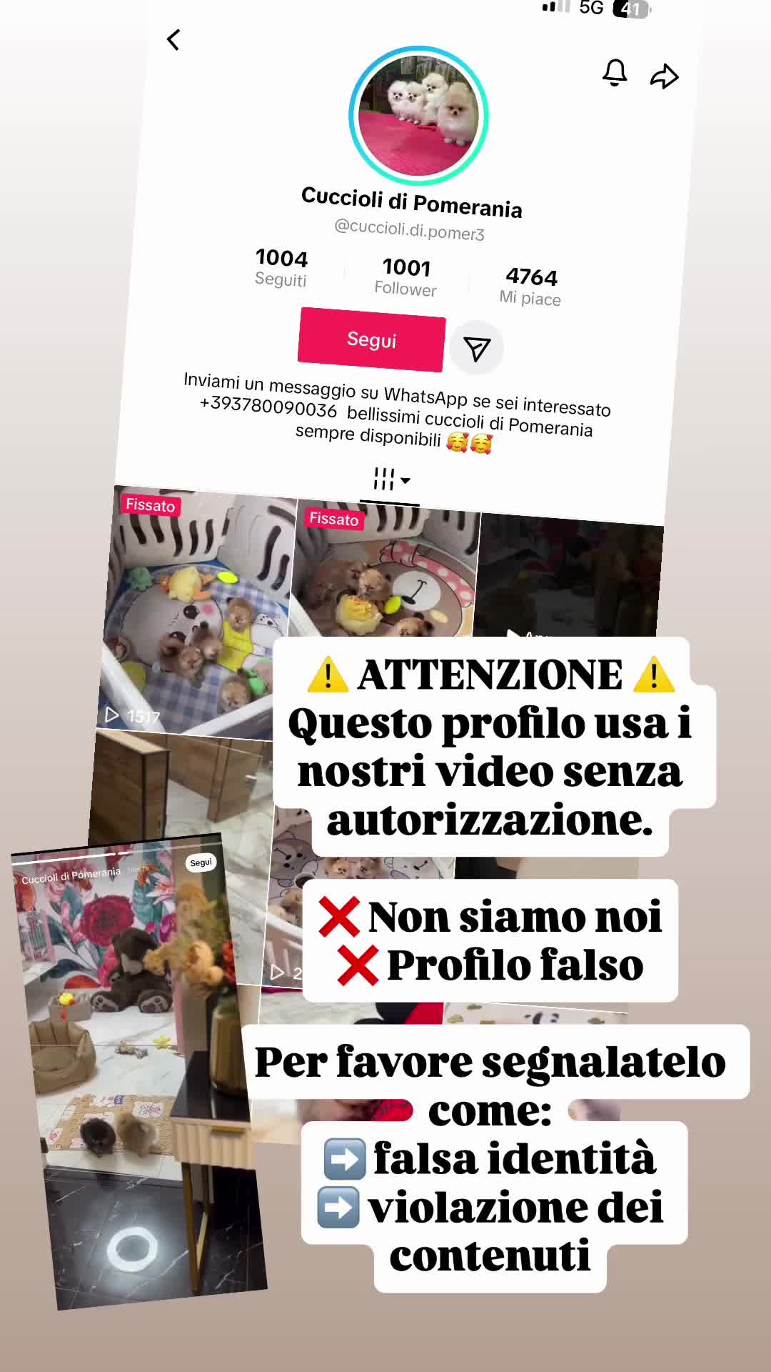 @pom.mydestiny