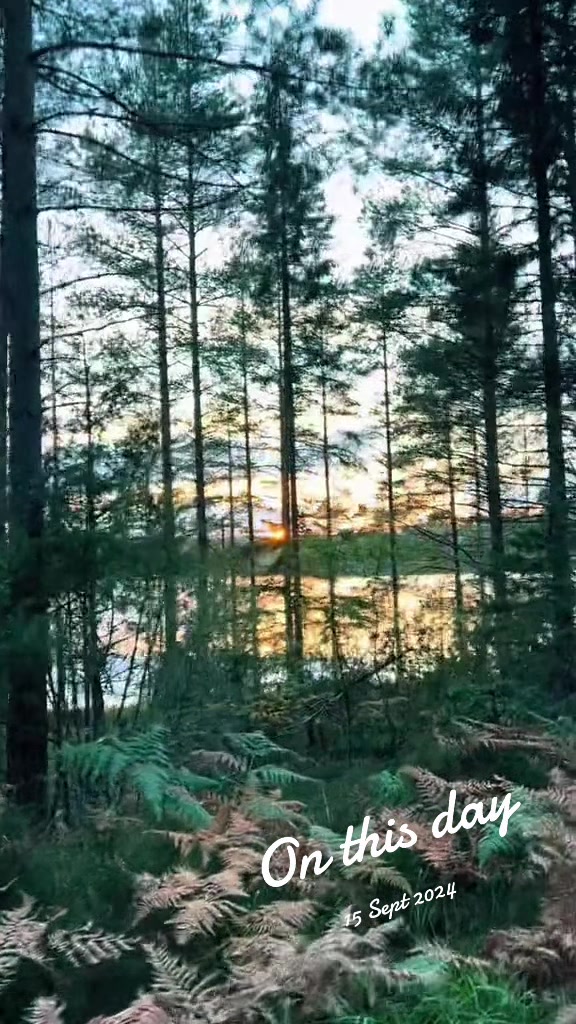 @Ellie’s Wolf Travel 🐺