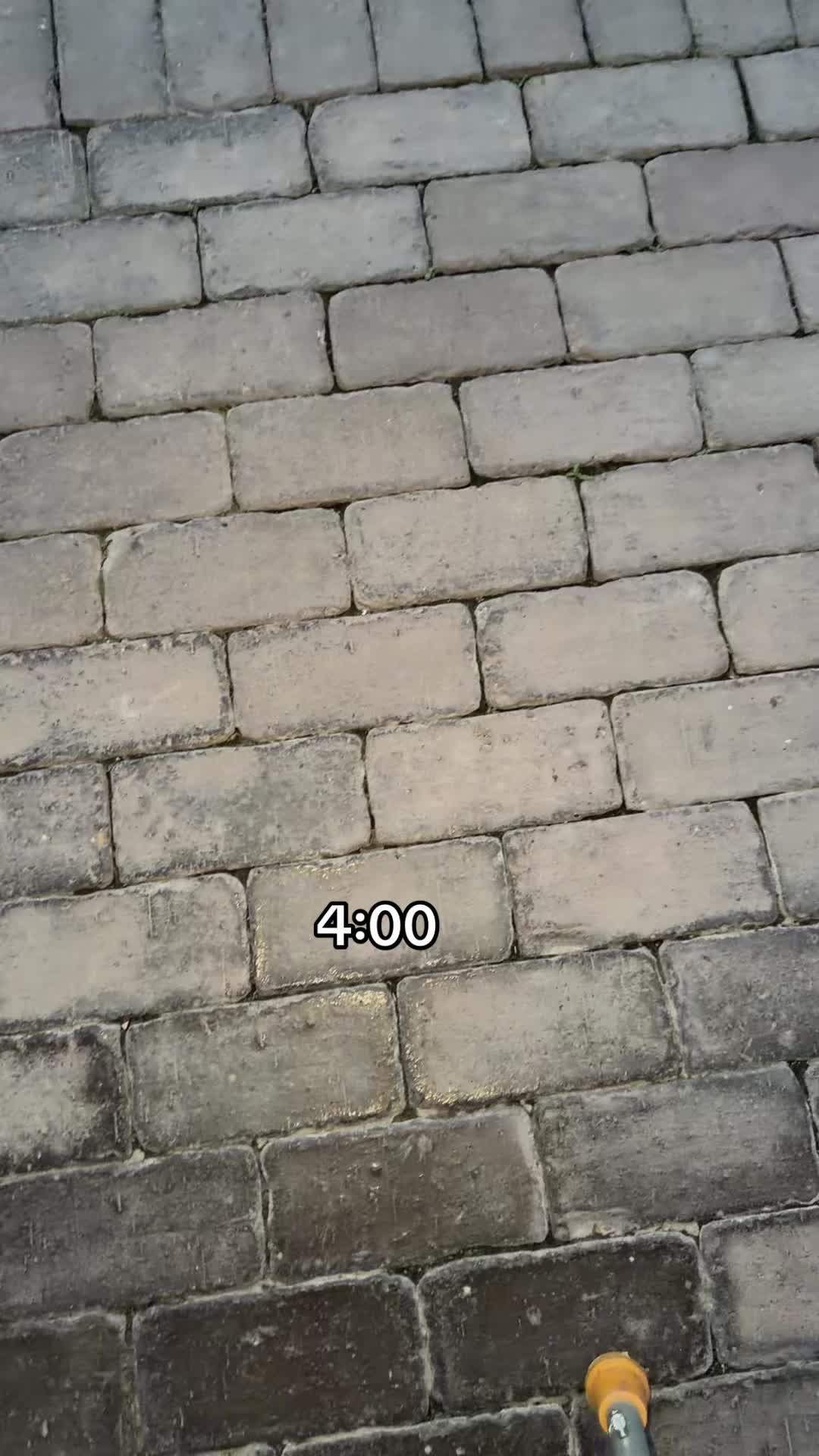 @цыпка🐣