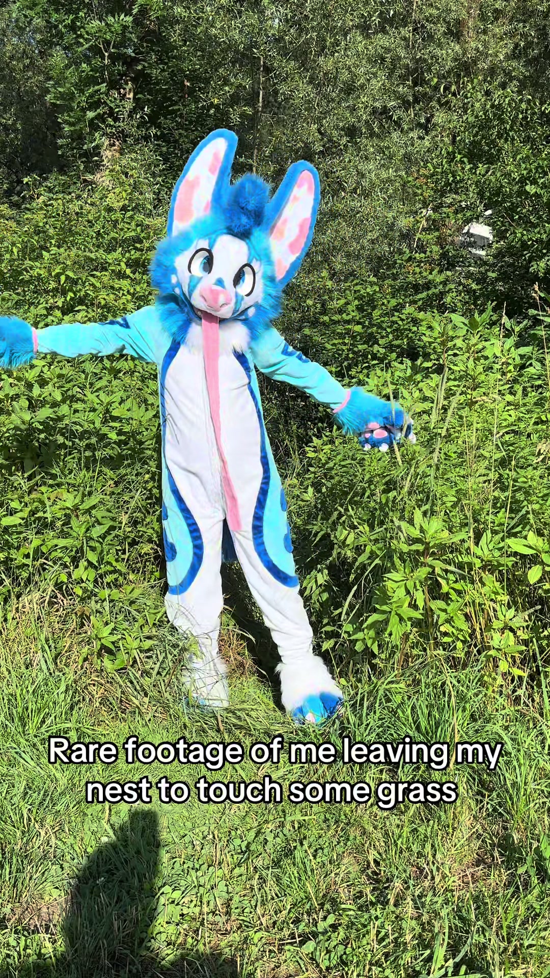 @fuzzybee
