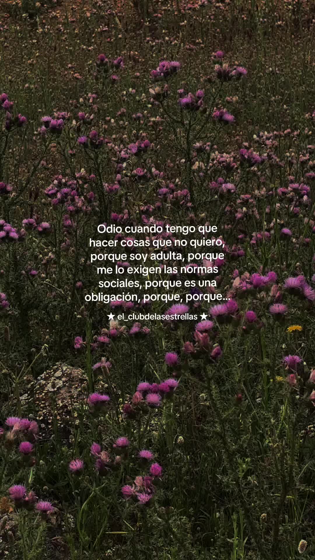 @★ el_clubdelasestrellas ★
