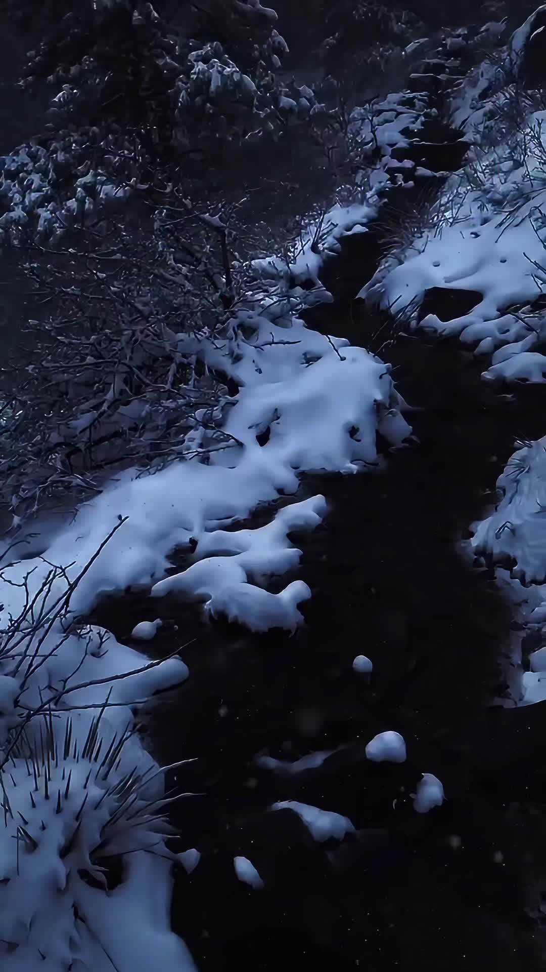 @NatureVibes0