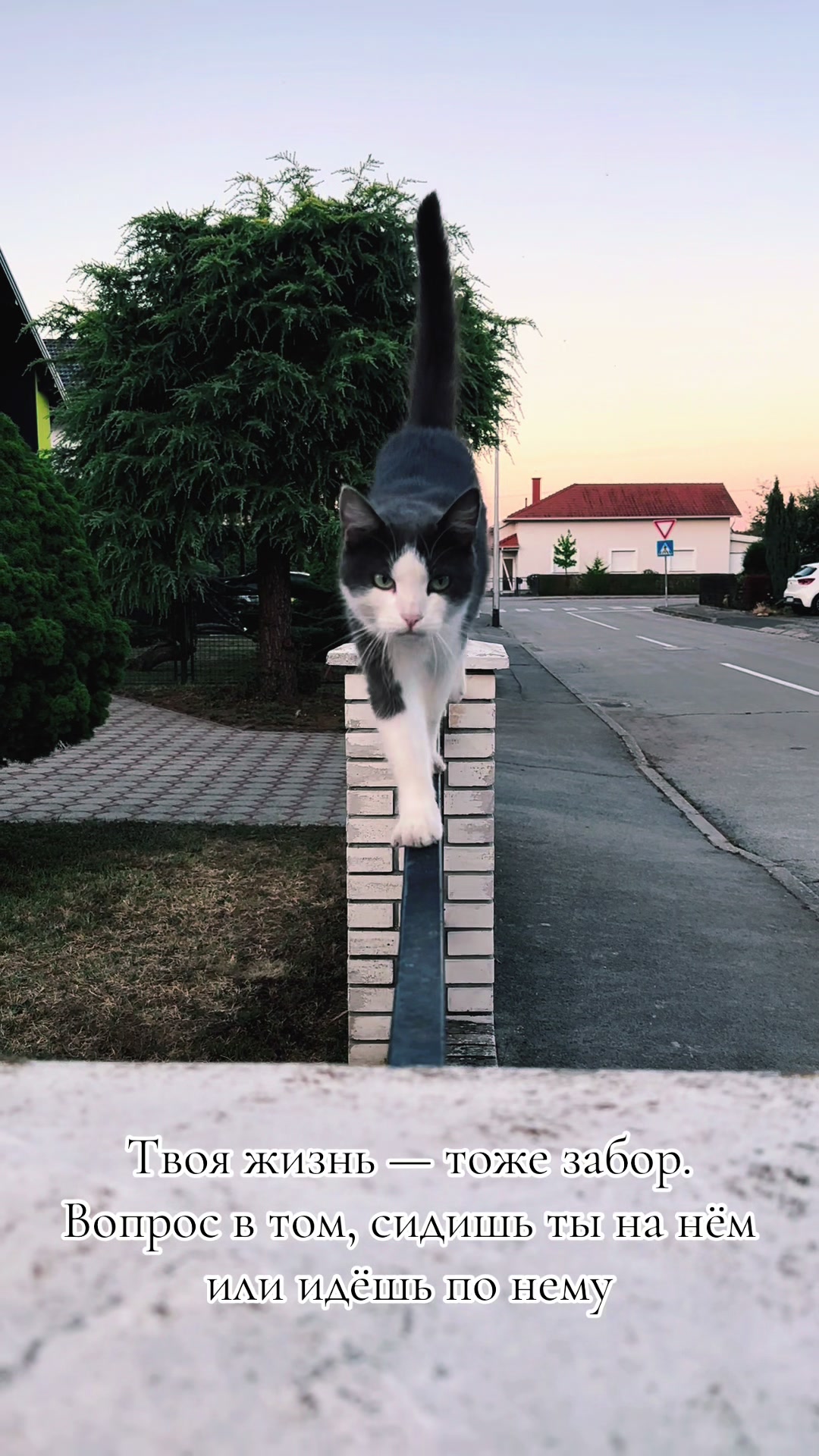 @zvetik7zvetik