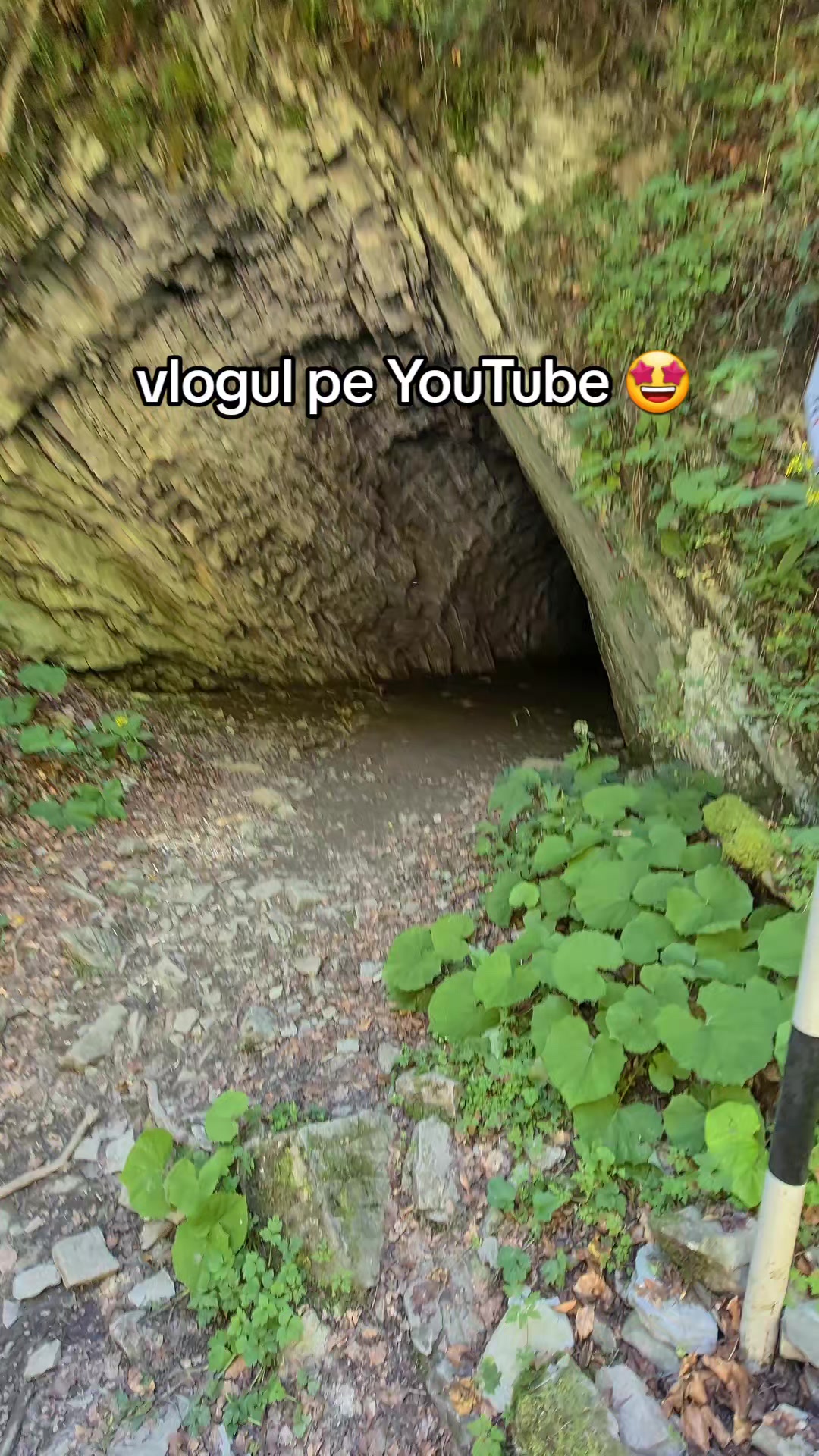 @Bogdan Hriscu
