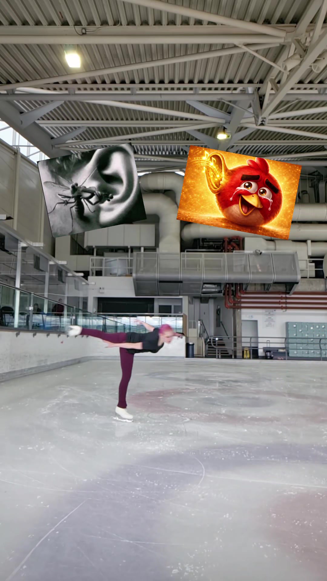 @Avaa💥🚦✖️⛸️