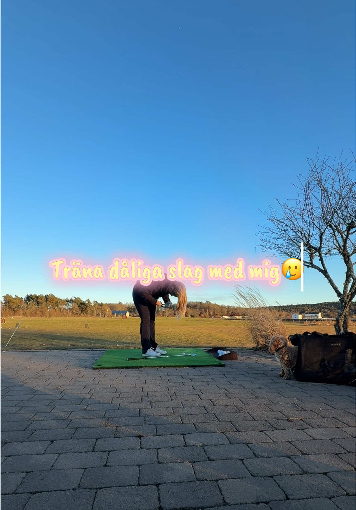 @ellen.golf