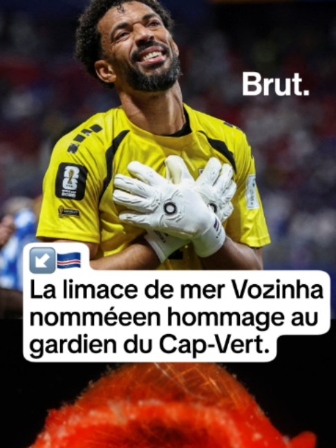 @Brut Afrique