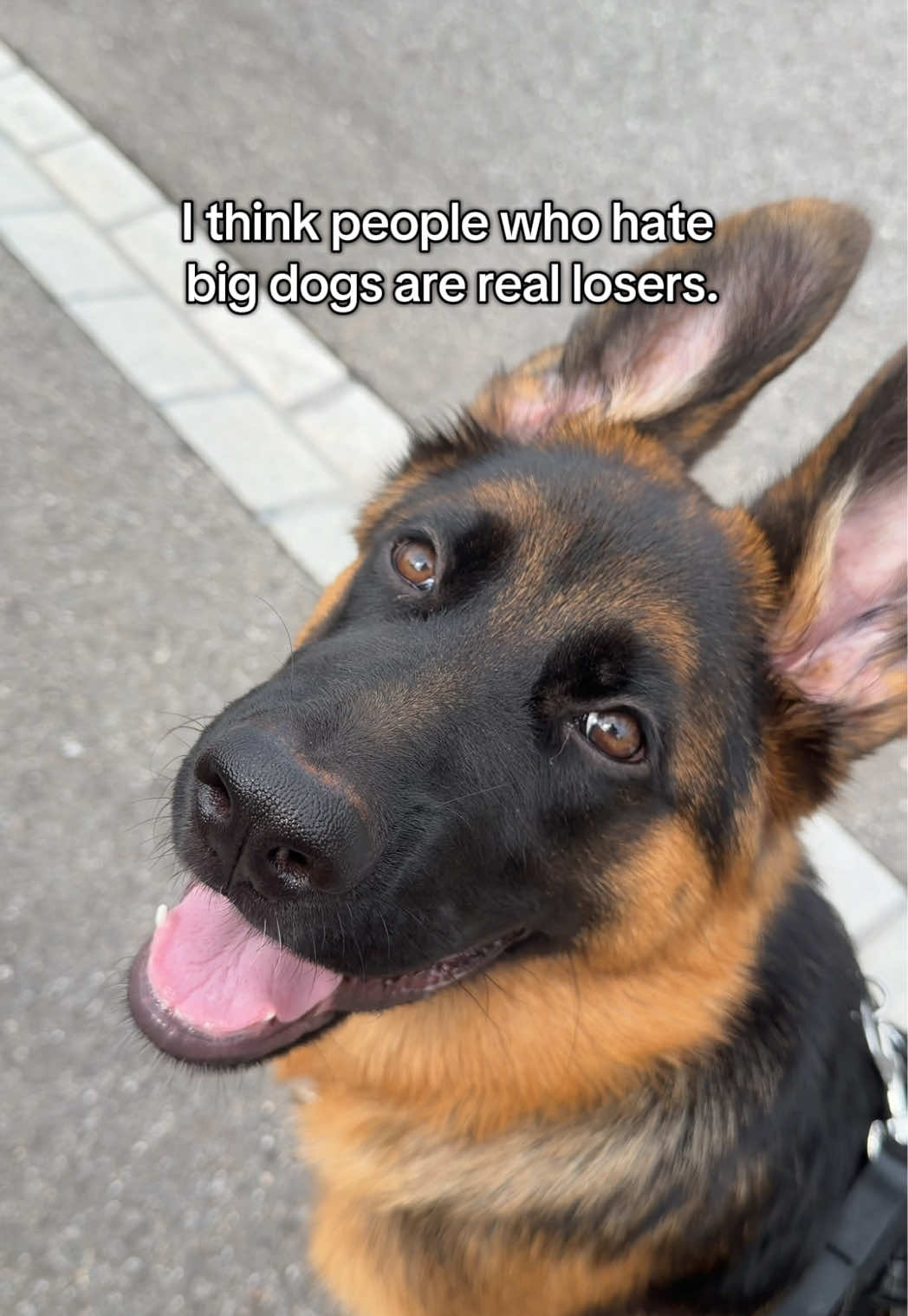 @gsd.kuba