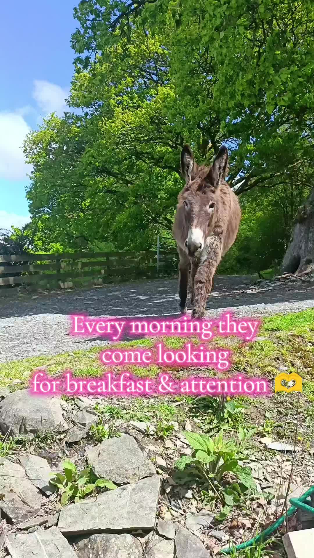 @fieldsforevere42