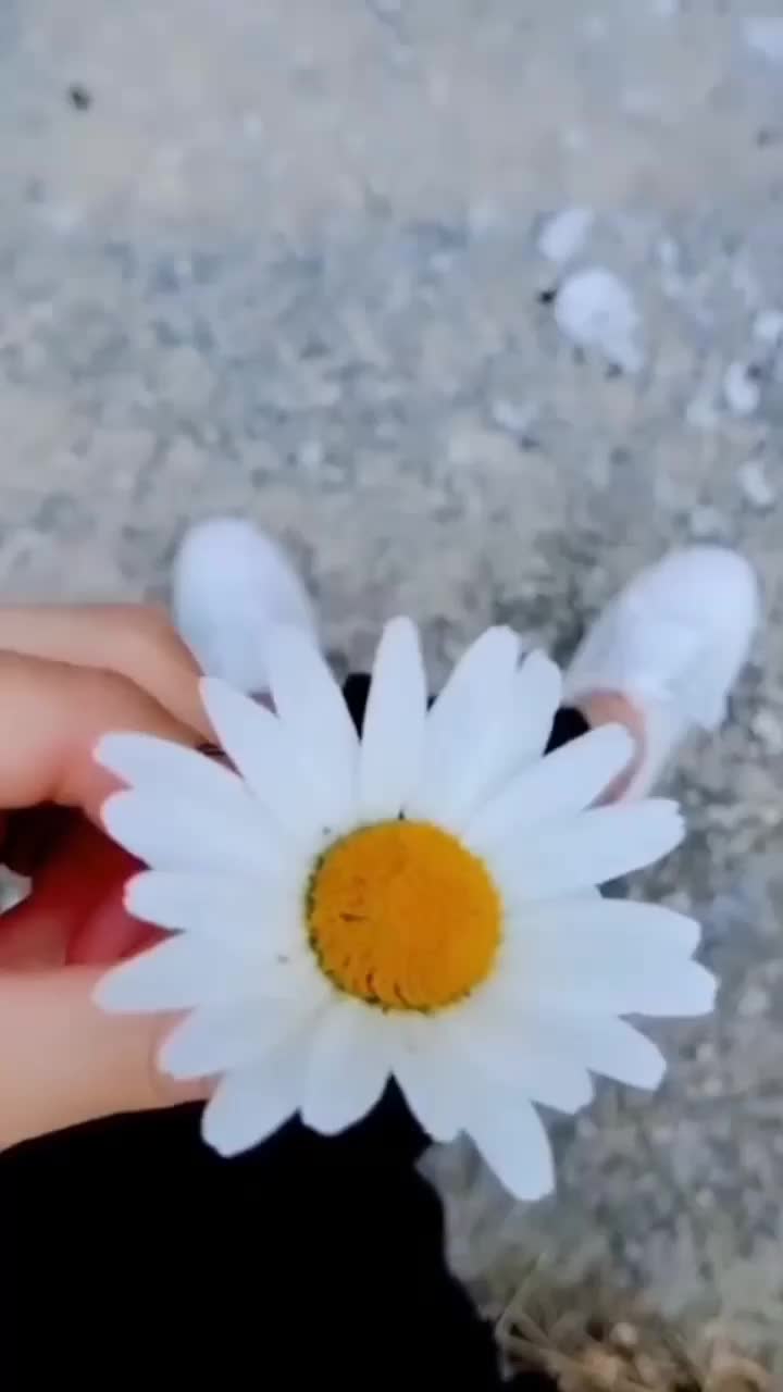 @⍣🦋ريـᬼـمـاᬼَّس