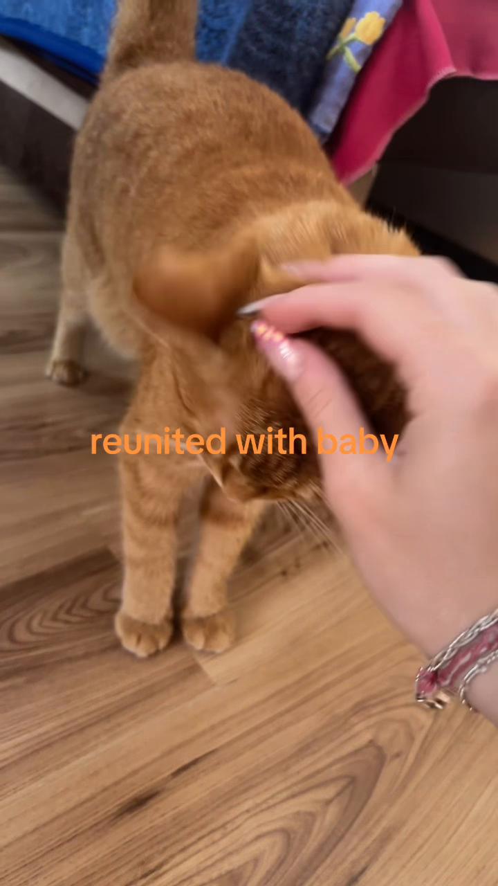 @Dominika