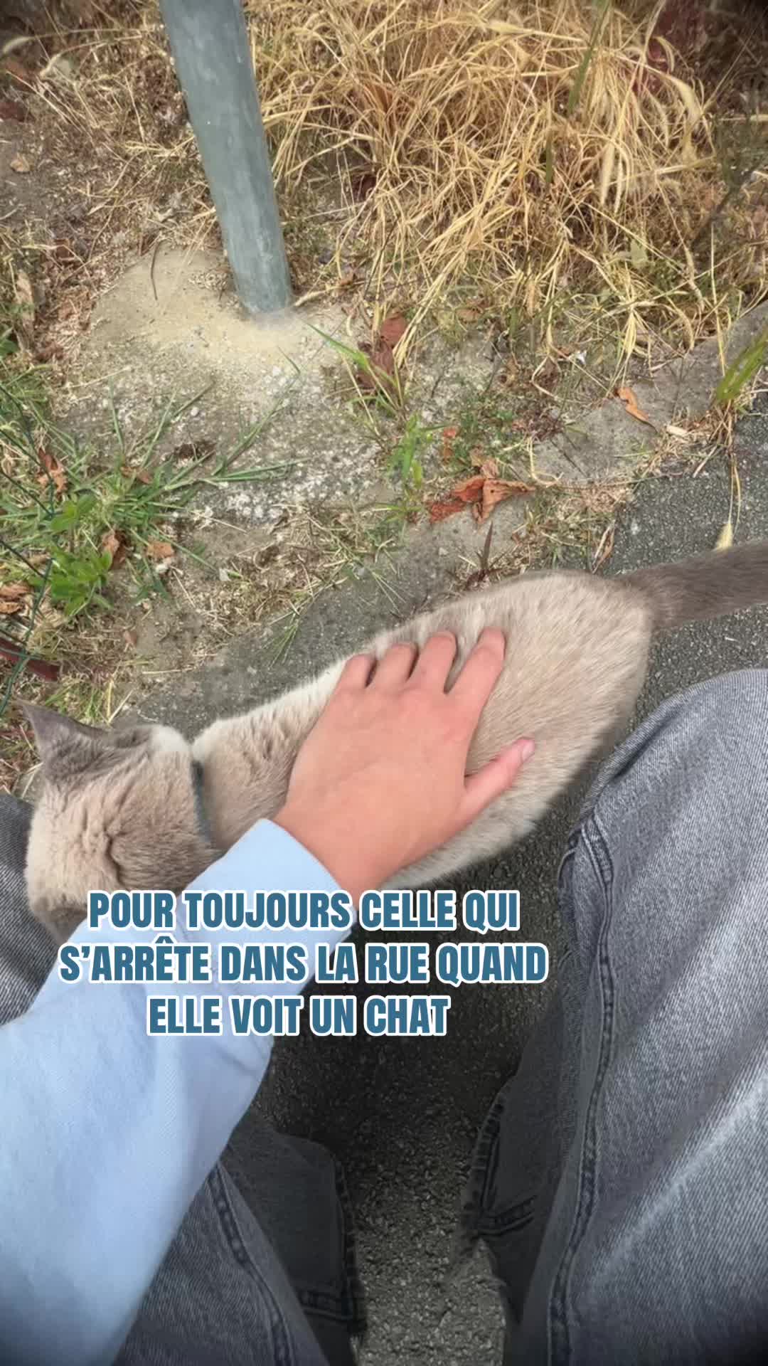 @maëlle🫧