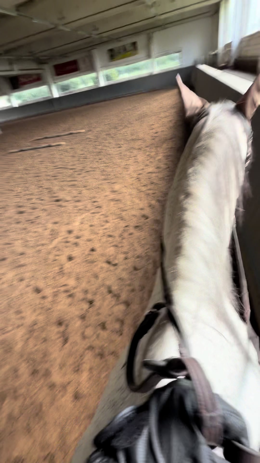 @𝐦𝐨𝐫𝐤𝐨𝐯𝐧𝐢𝐜𝐚🥕 ྀིྀ