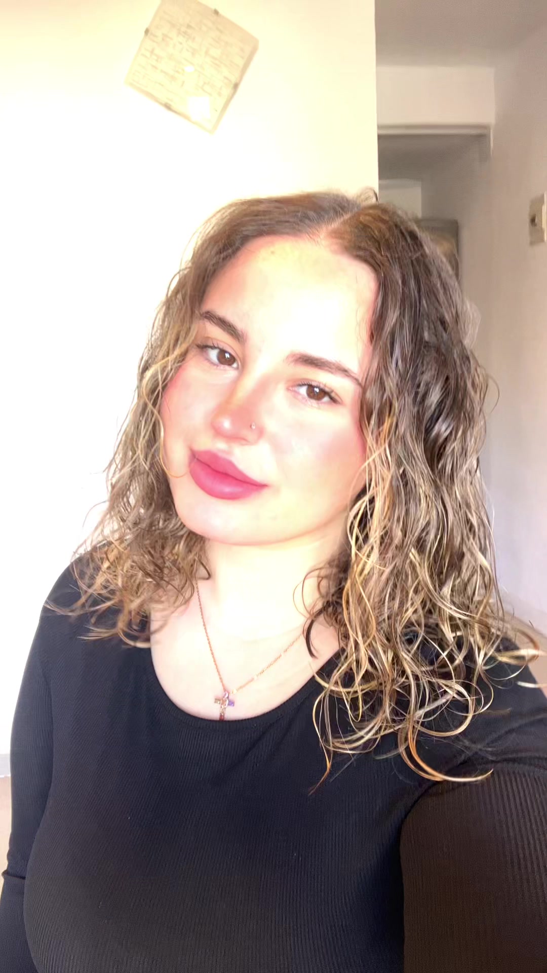 @aiinhoasegovia_