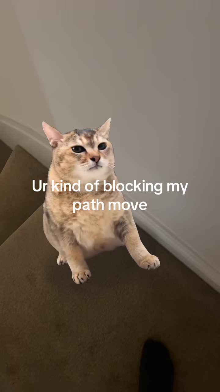 @Benjaminf