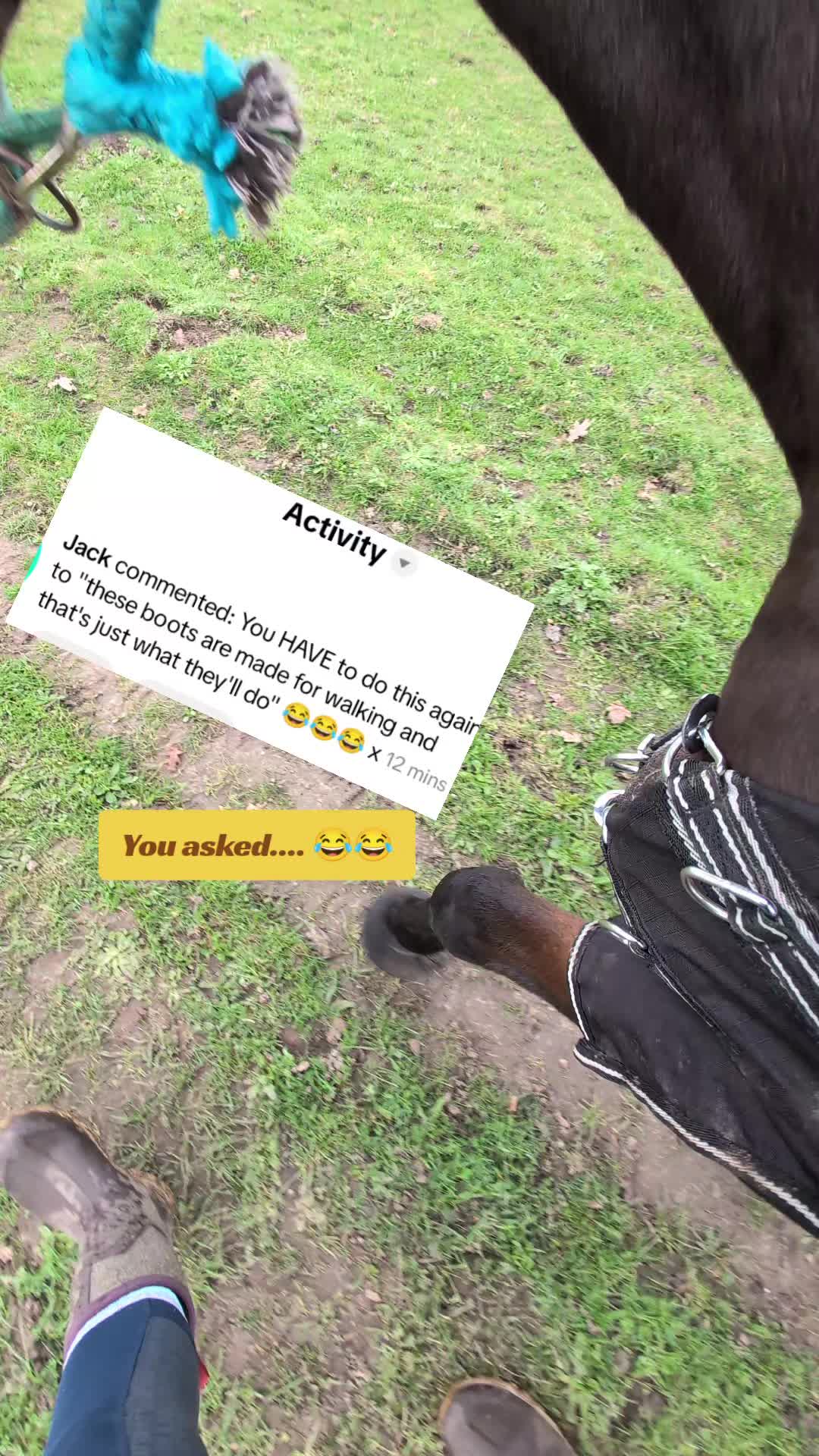 @tolenevdm