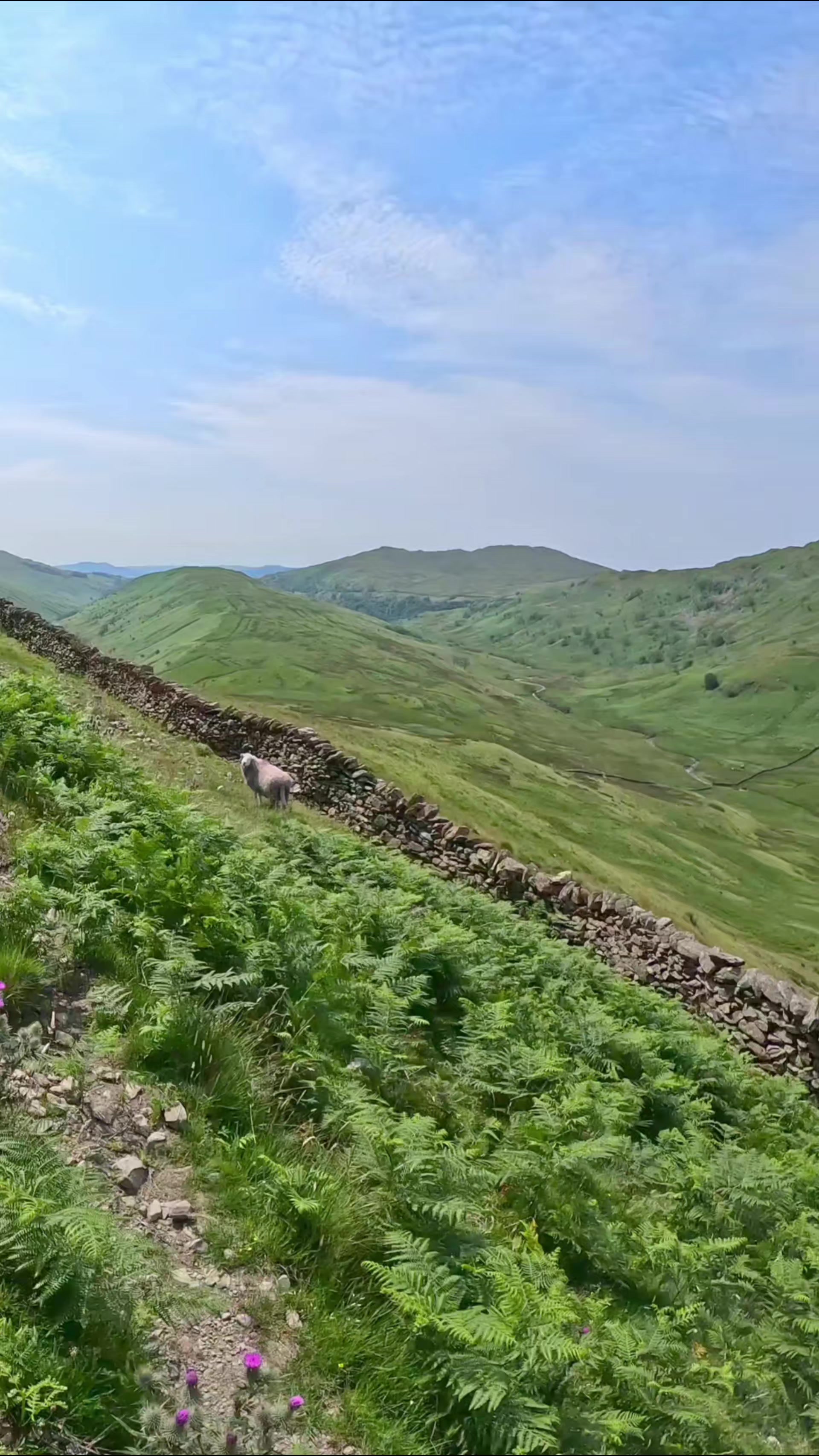 @Wild camping Britain