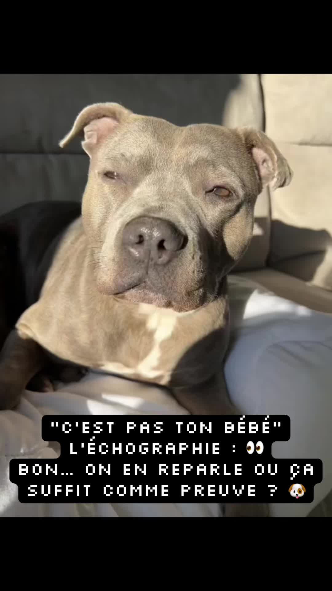 @rubylove_staffie94