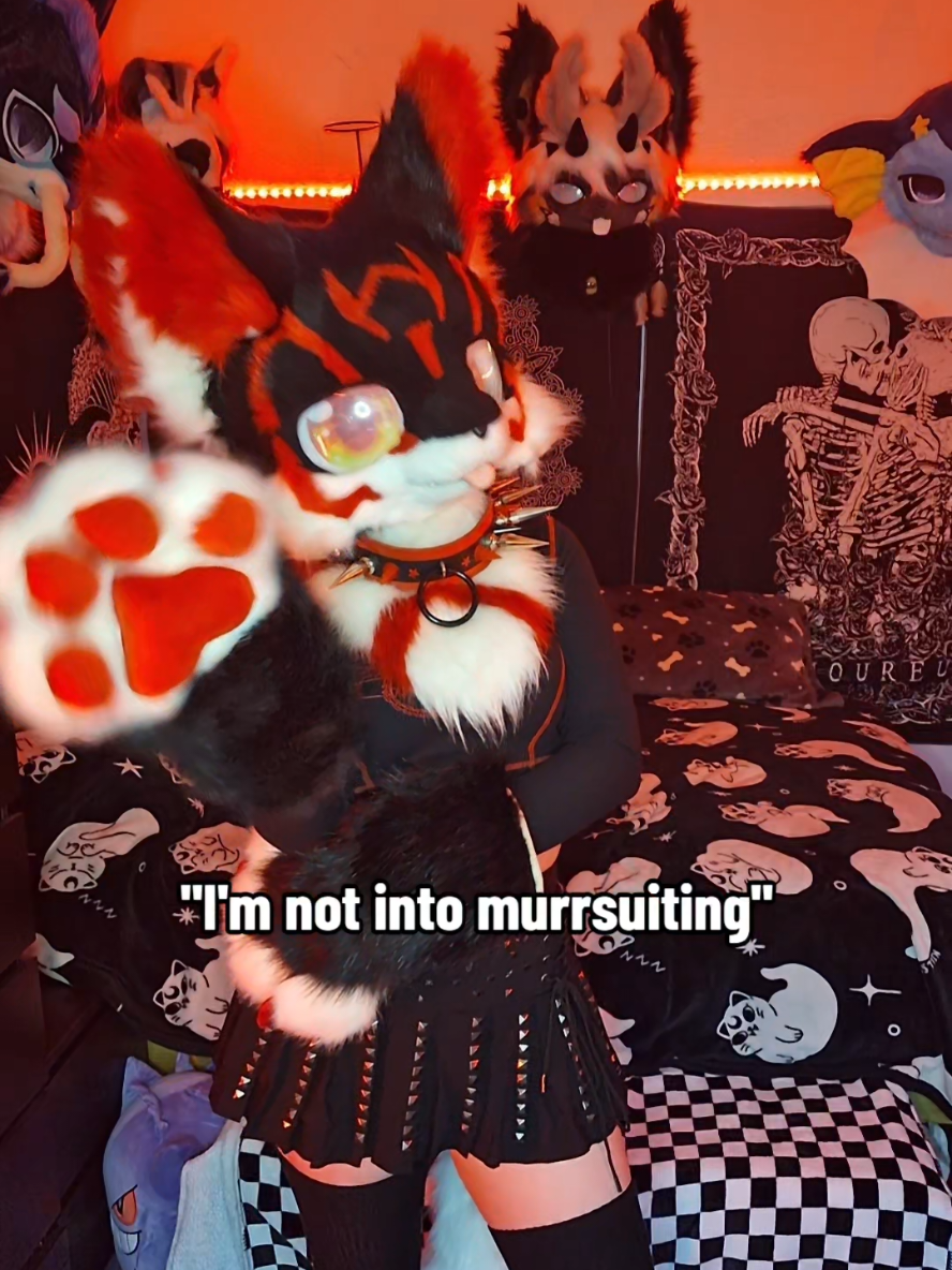 @Bailey (lilpixiekitten)