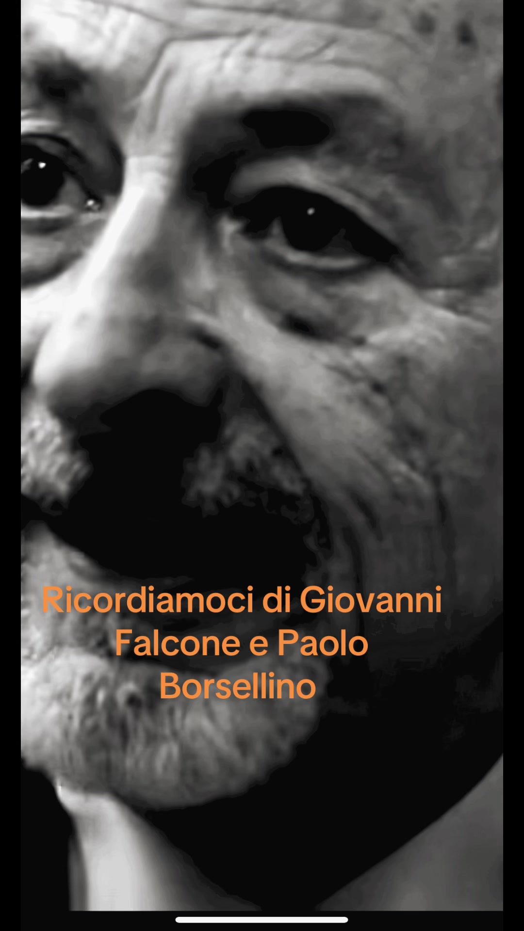 @incastroperfetto1