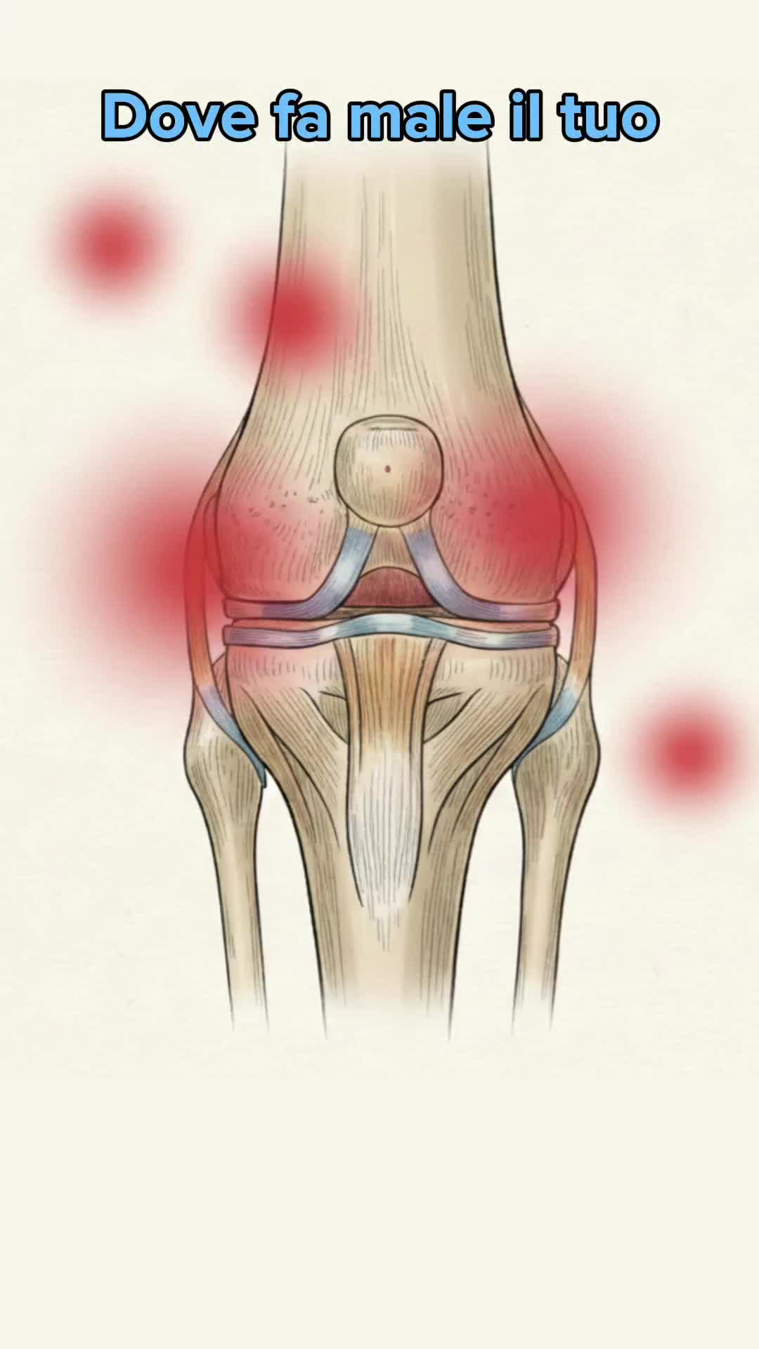 @studio osteopatia