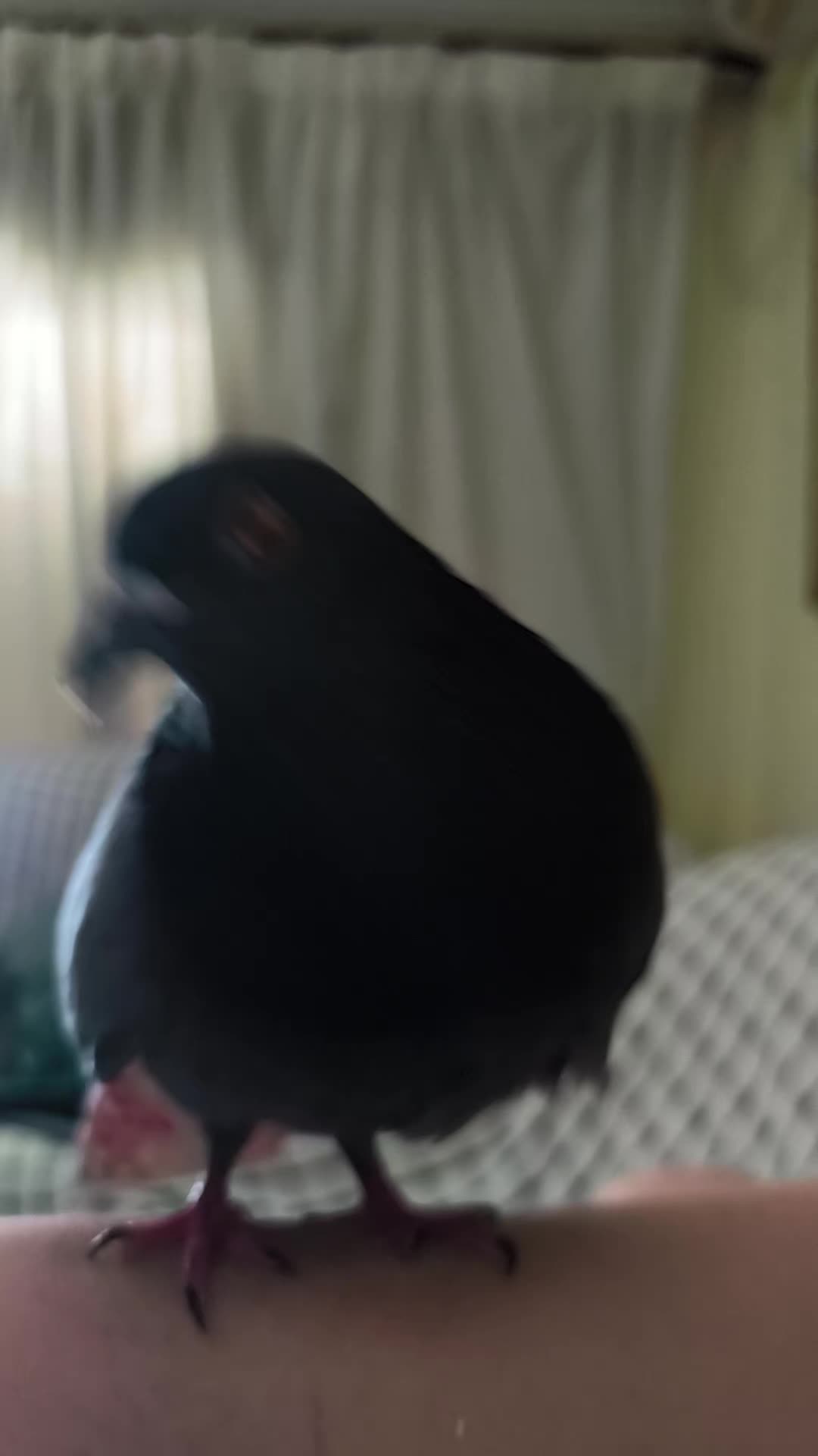 @yoguisol