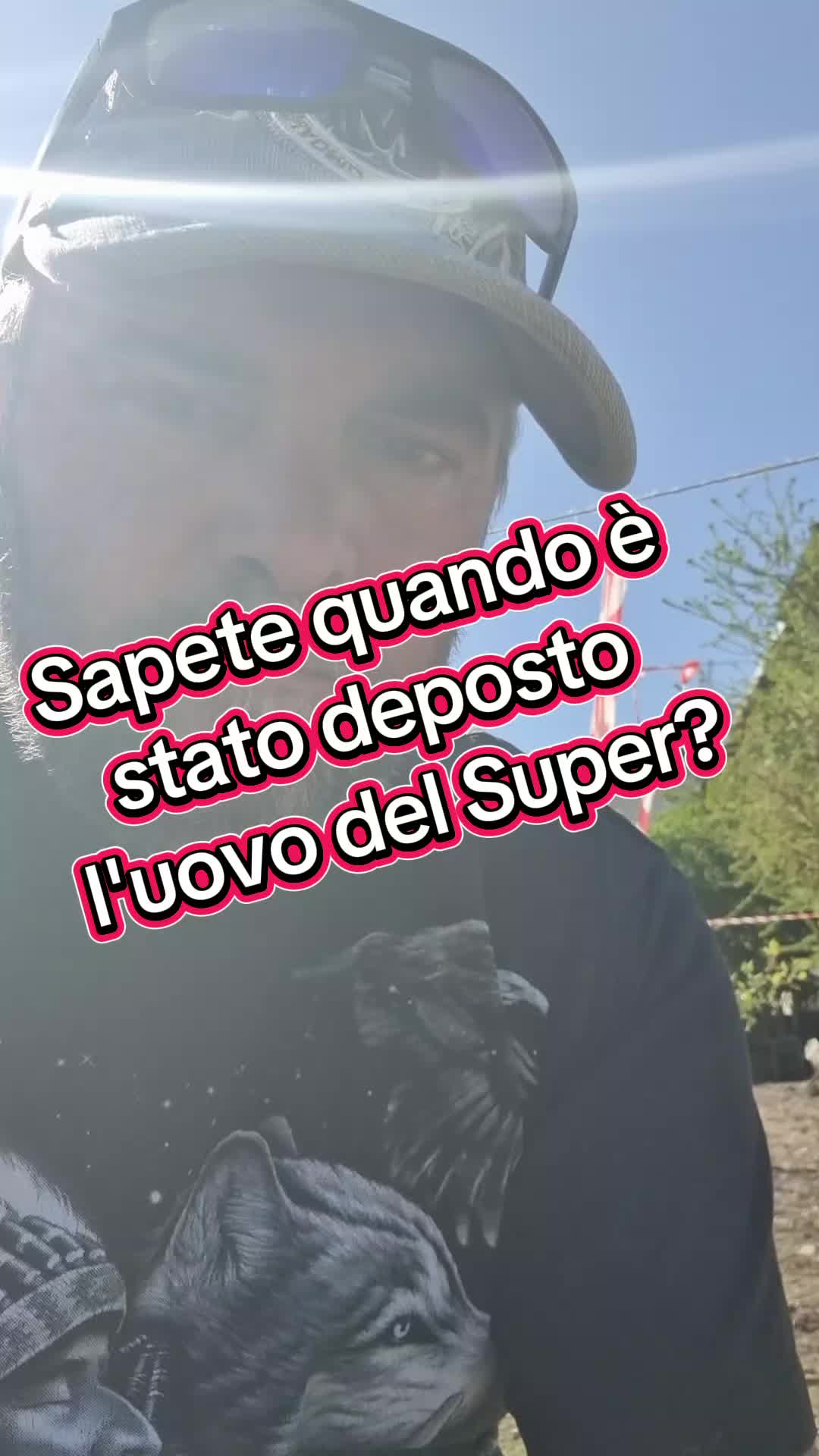 @Il leone e la gallina