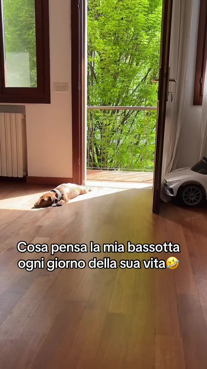@Mapyladycabala