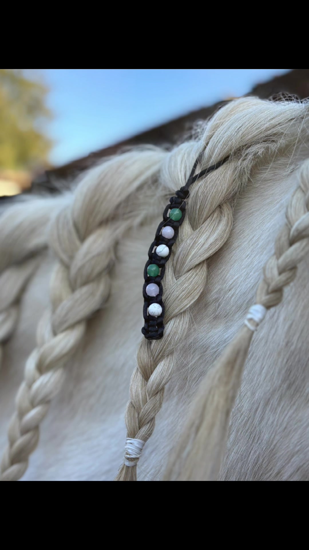 @Horse Heavenly