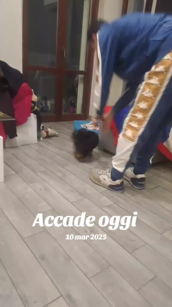 @anna bevilax