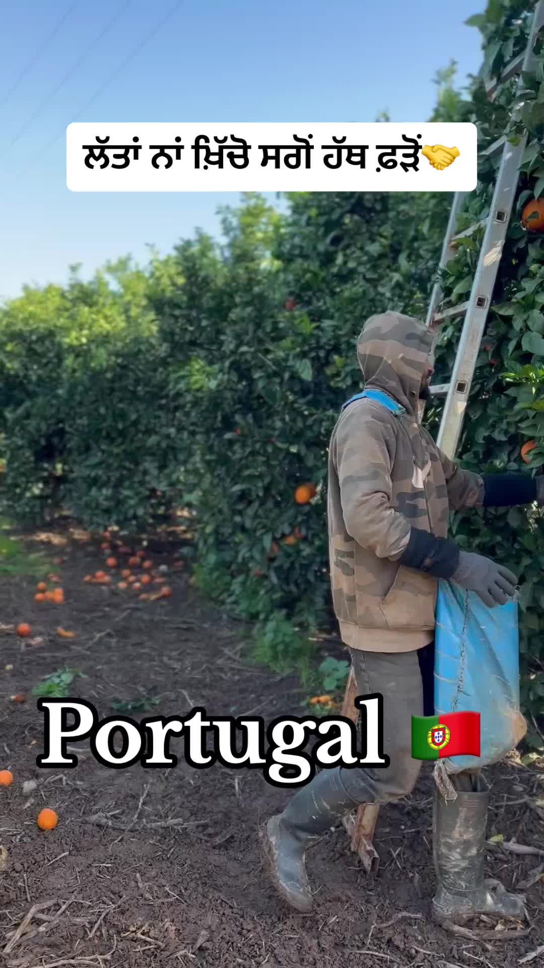 @Shergill_pb36