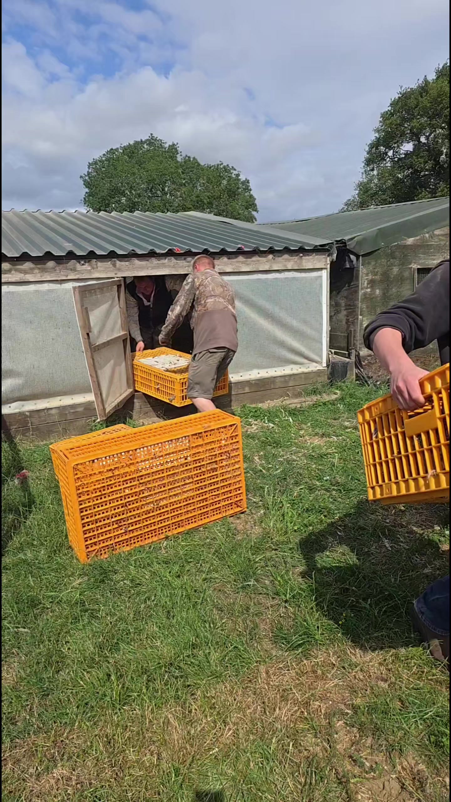 @MillHillGundogs